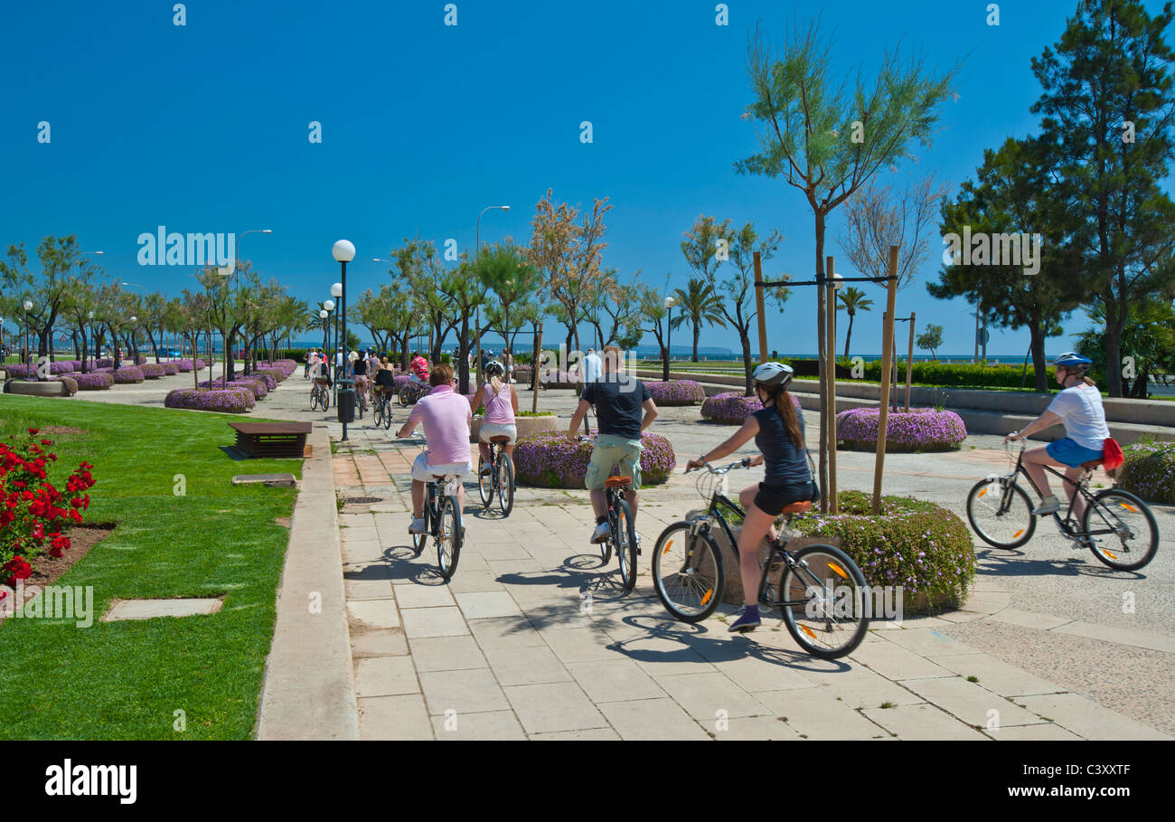 Voyage Palma de Majorque cyclisme cyclistes Tour groupe de cyclistes équitation à proximité de la cathédrale de Palma dans le Parc de la Mar Palma Mallorca Espagne centre historique Banque D'Images