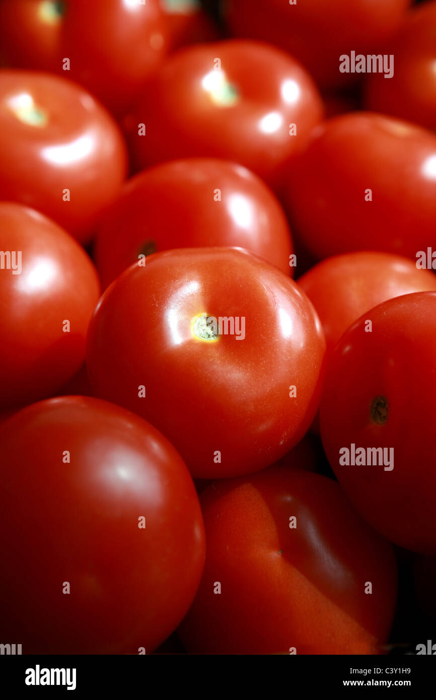 Les tomates Banque D'Images