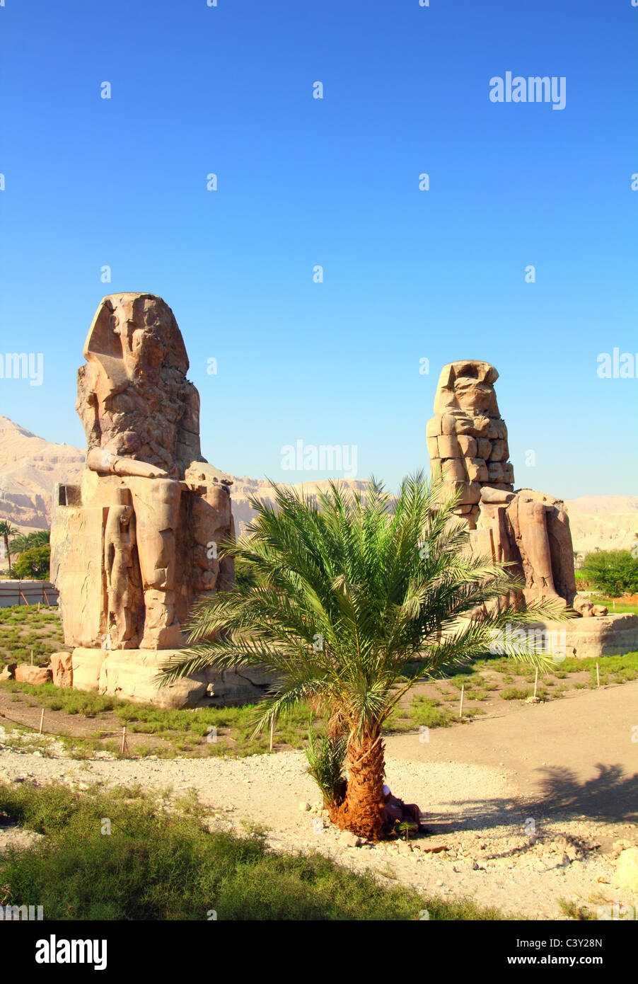Colosses de Memnon statues gigantesques à Louxor Egypte Banque D'Images