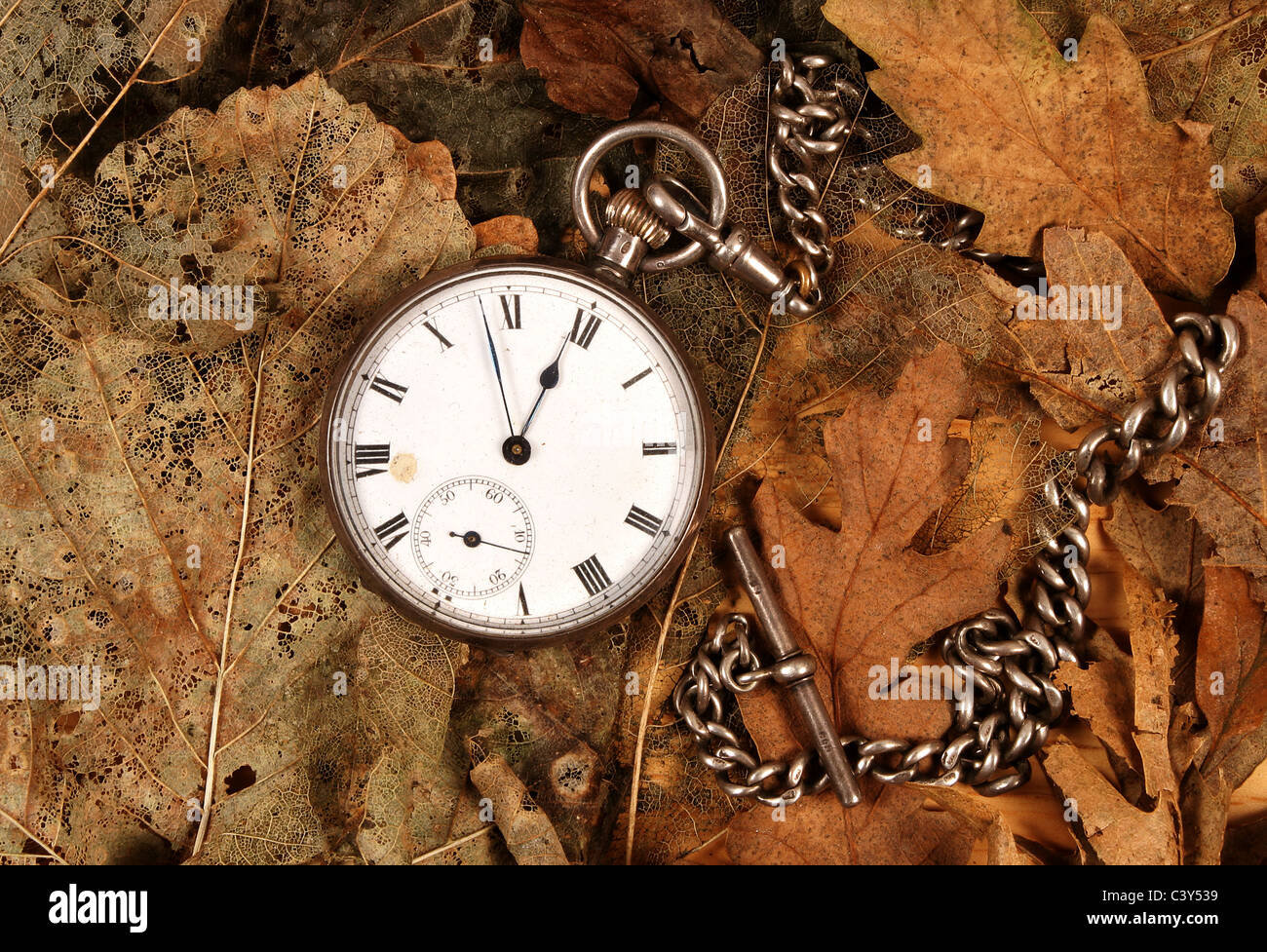Montre de poche antique et la chaîne sur les feuilles mortes Banque D'Images