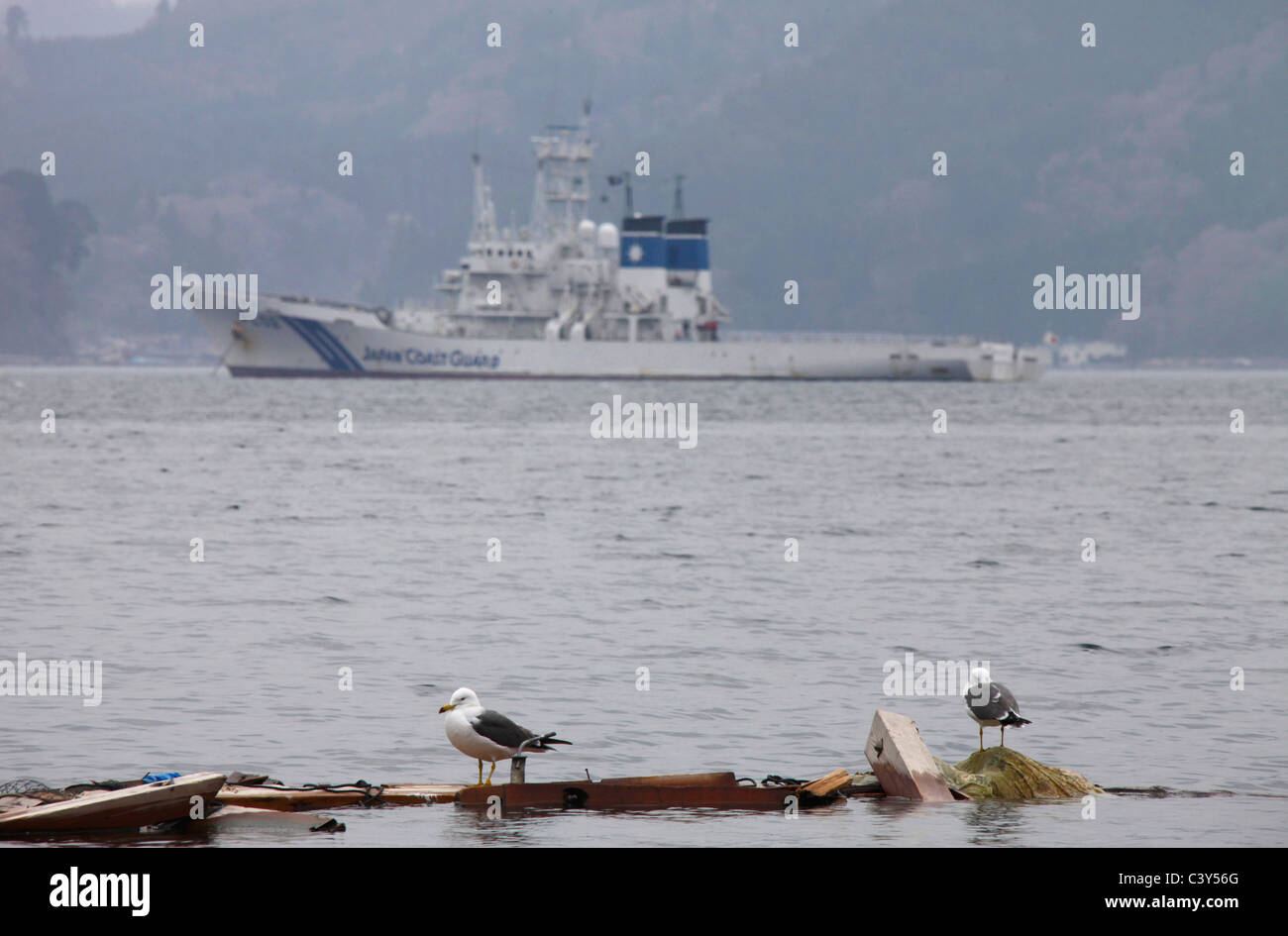 Les oiseaux de mer de l'épave flottante sur le navire de la Garde côtière du Japon PL-02 Erimo Otsuchi fond-cho ville Japon Iwate Banque D'Images