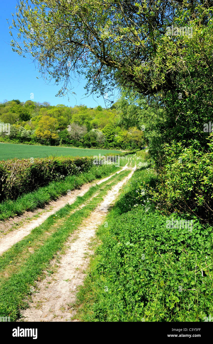 Suivi de la campagne dans les North Downs, Surrey Banque D'Images
