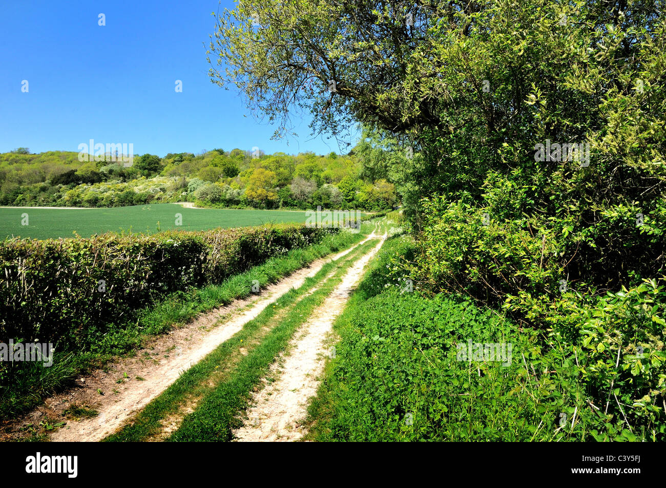 Suivi de la campagne dans les North Downs, Surrey Banque D'Images
