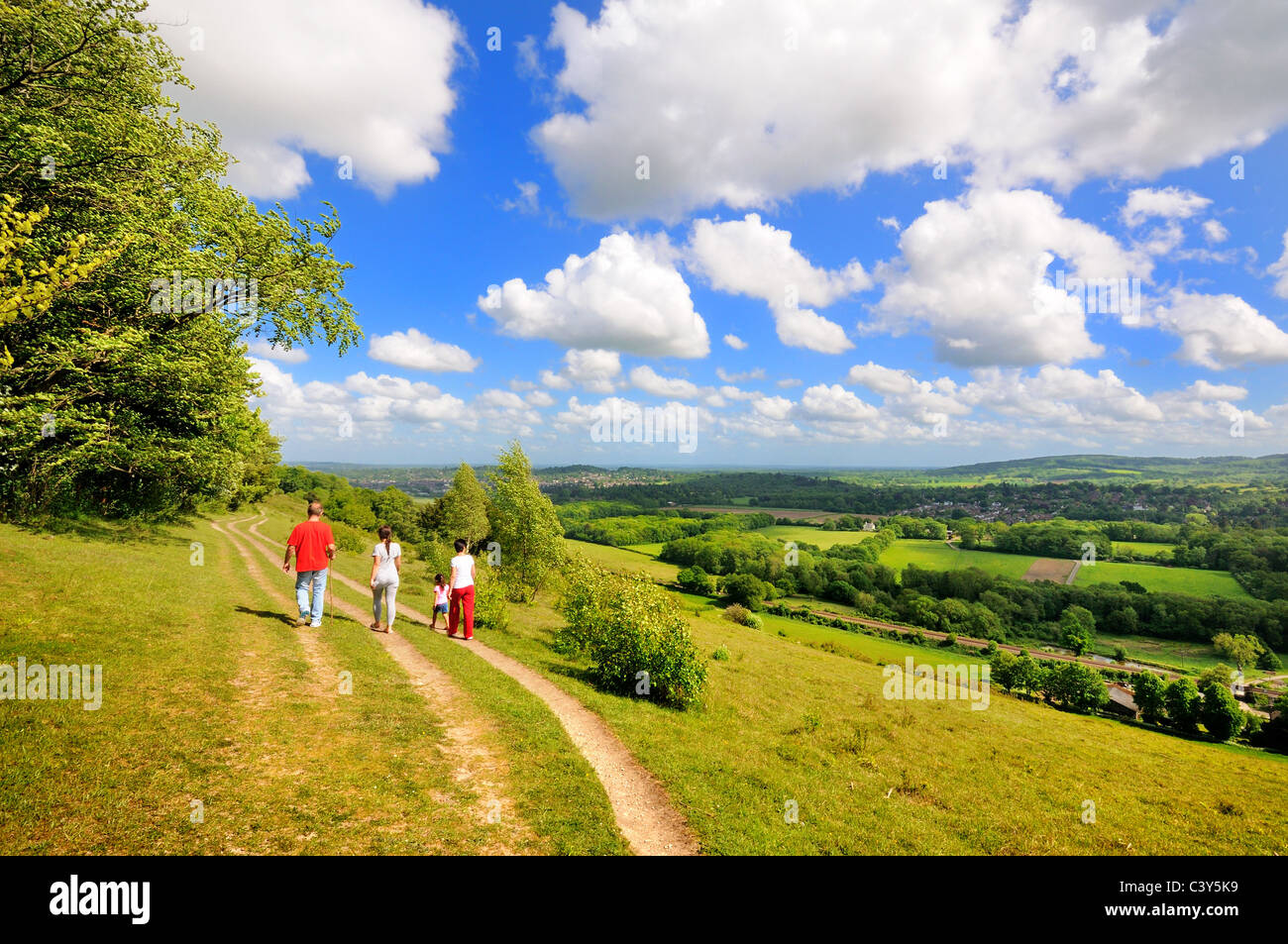 Ranmore Common ,collines du Surrey Dorking UK Banque D'Images