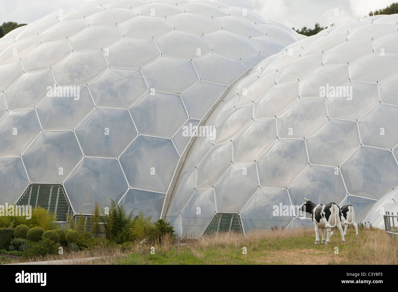 L'Eden Project, Cornwall, Angleterre Banque D'Images