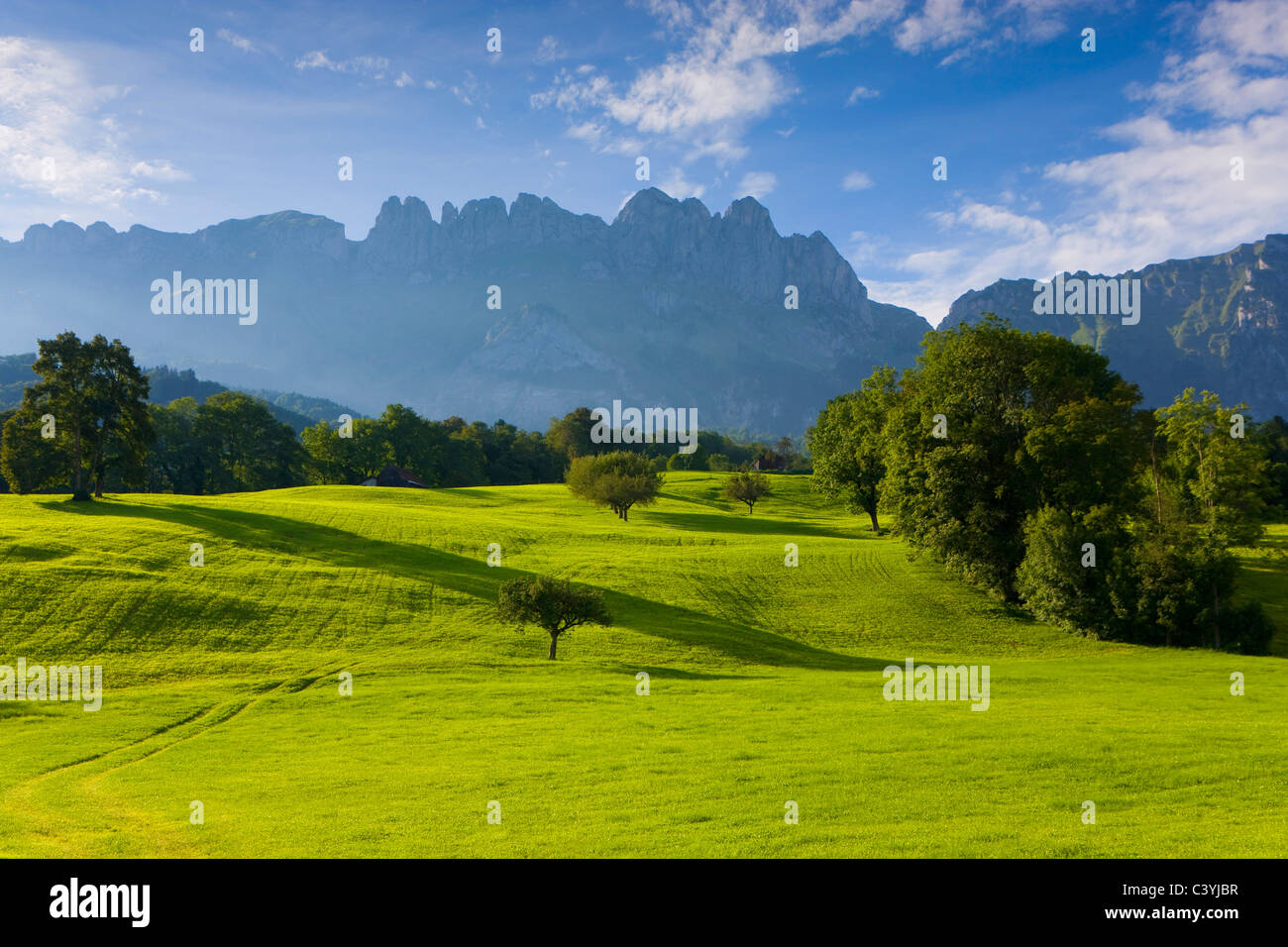 Sax, Suisse, dans le canton de Saint-Gall, vallée du Rhin, prairie, arbres, montagnes, traverser les montagnes, l'Alpstein Banque D'Images