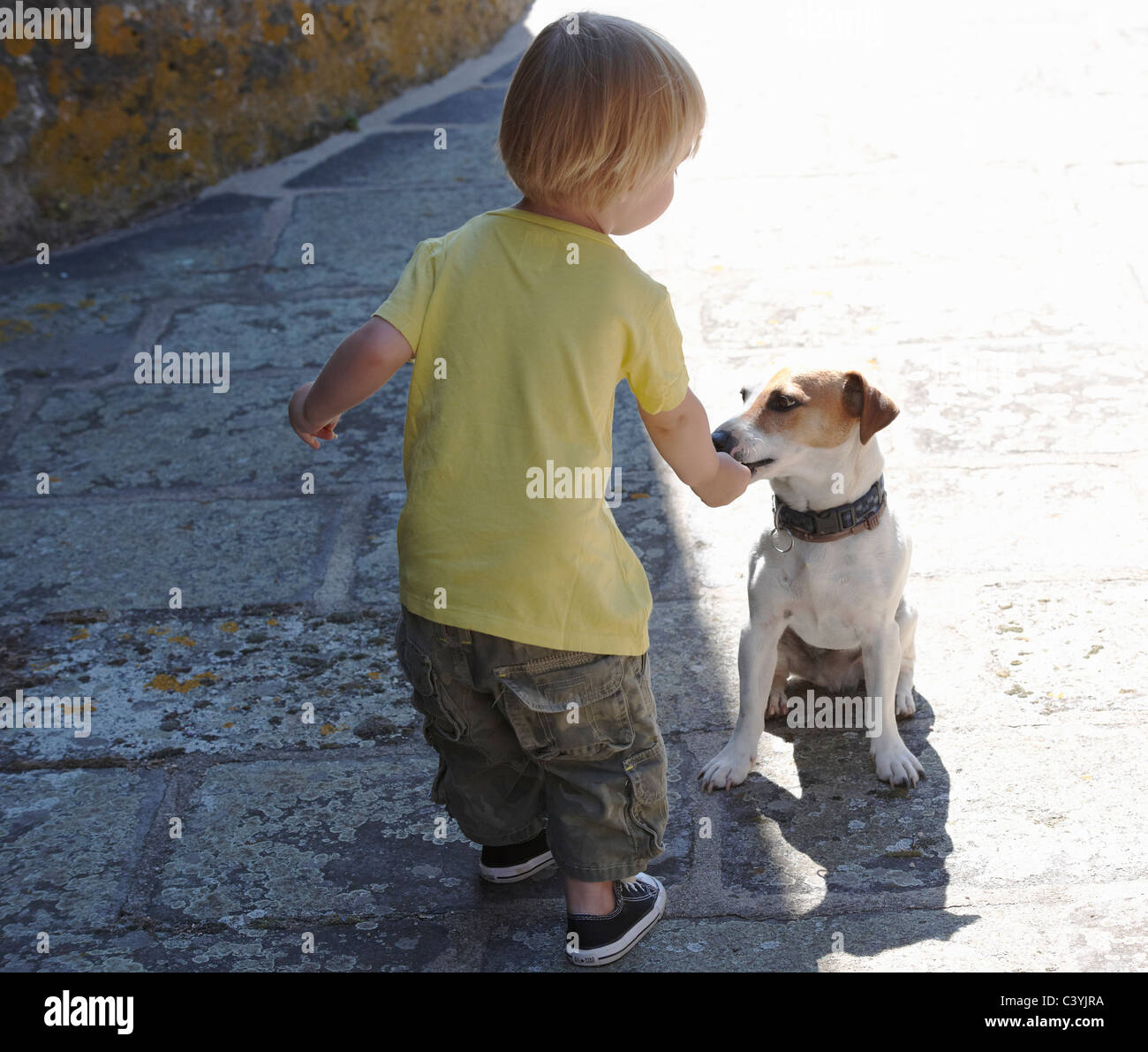 Bébé Garçon jouant avec un chien Banque D'Images