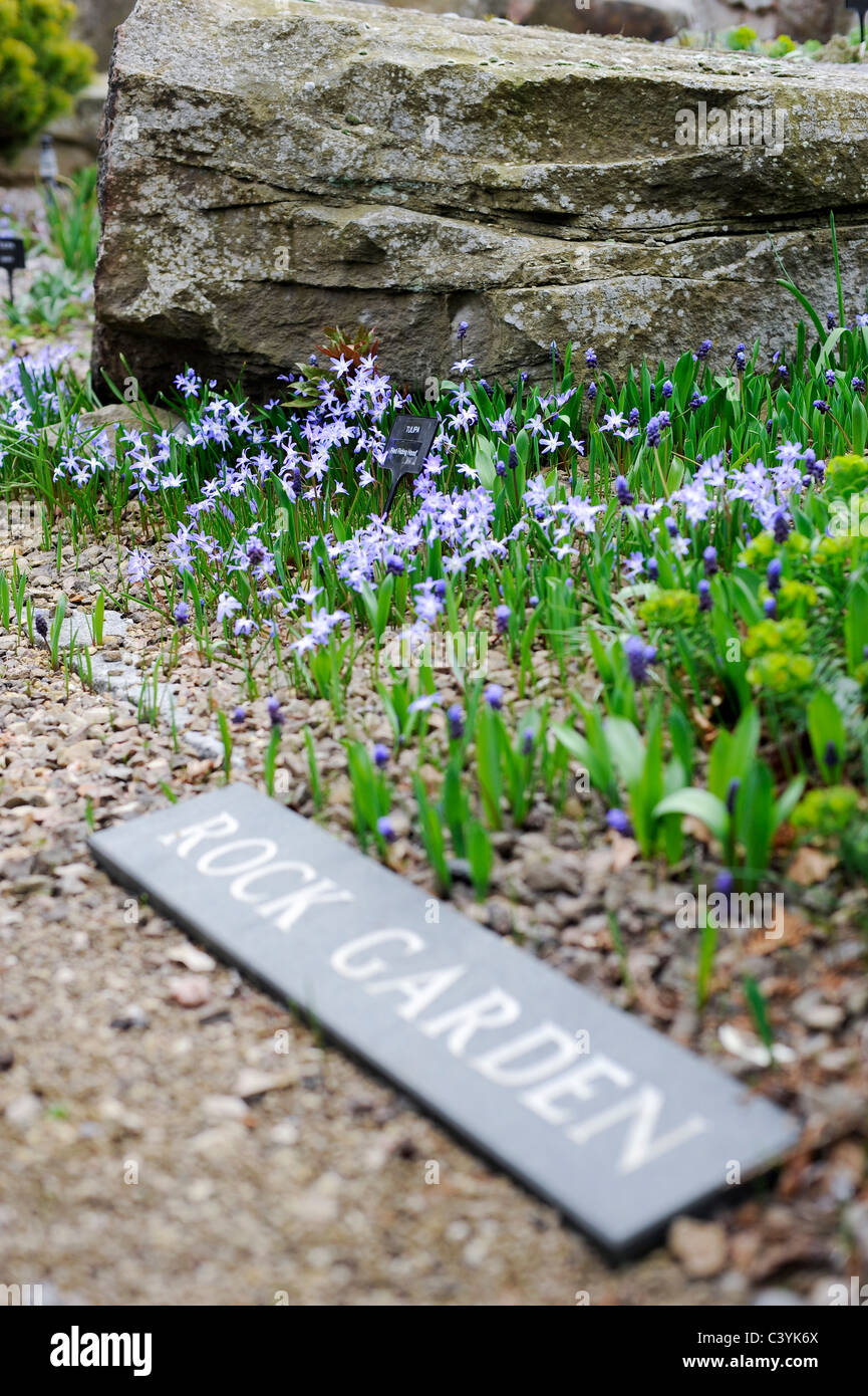 Jardin alpin le jardin de la société a été fondée en 1929. Worcestershire L'organisme de bienfaisance a commencé à promouvoir l'intérêt des plantes alpines Banque D'Images