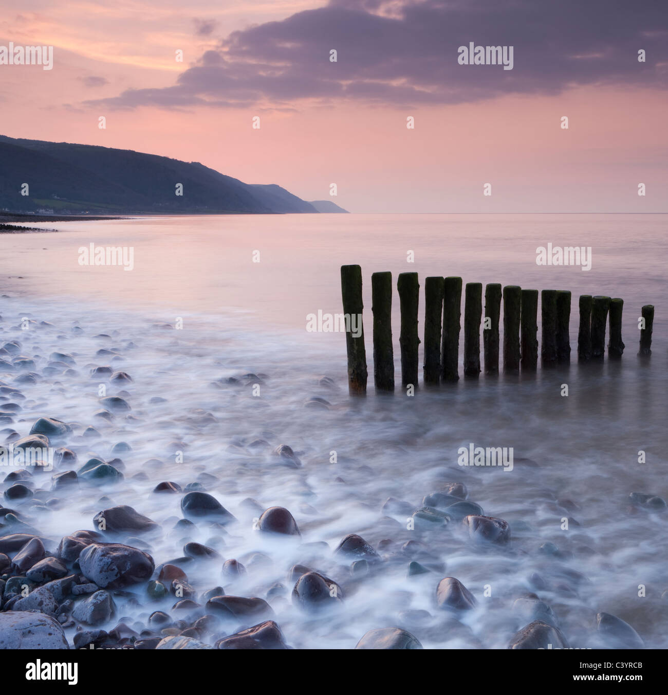 Bois épis sur Bossington plage au coucher du soleil, Parc National d'Exmoor, Somerset, Angleterre. Printemps (mars) 2011. Banque D'Images