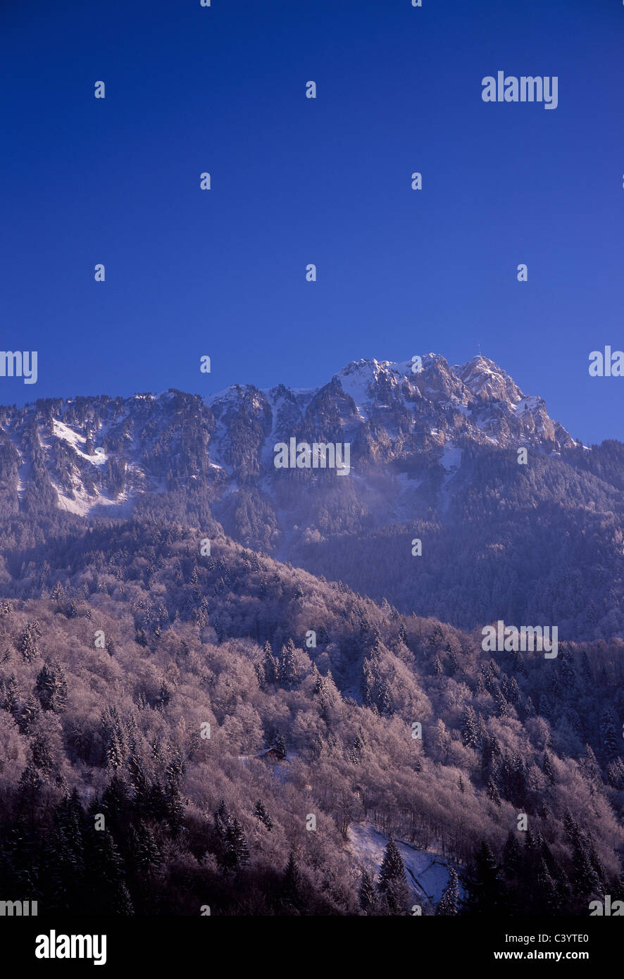 La Suisse, arbres, neige, nature, montagne, route, Leysin, la Berneuse, hiver, Vaud, Banque D'Images