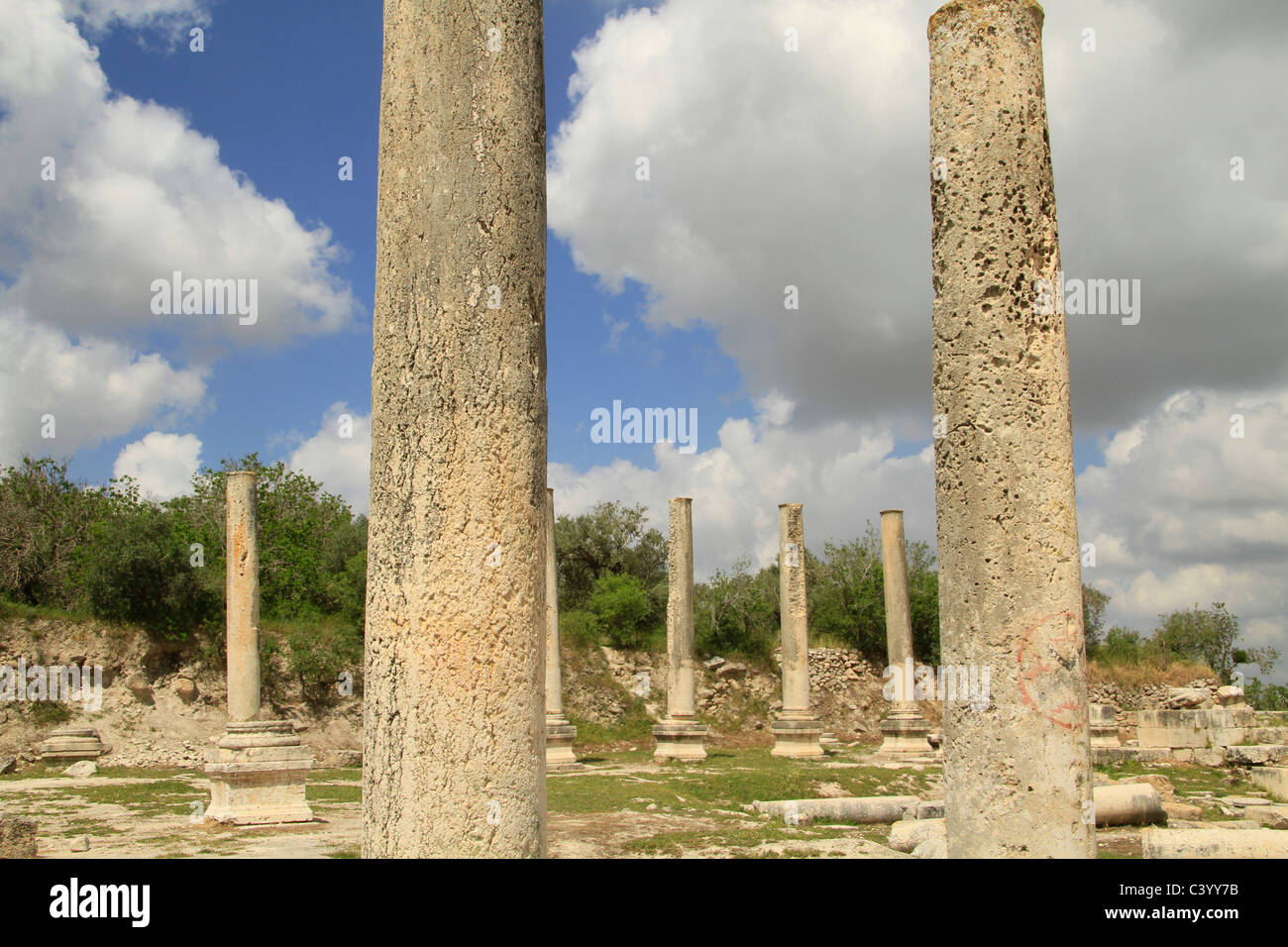 La Samarie, Sebastia, vestiges du forum de la ville romaine Sebaste Banque D'Images