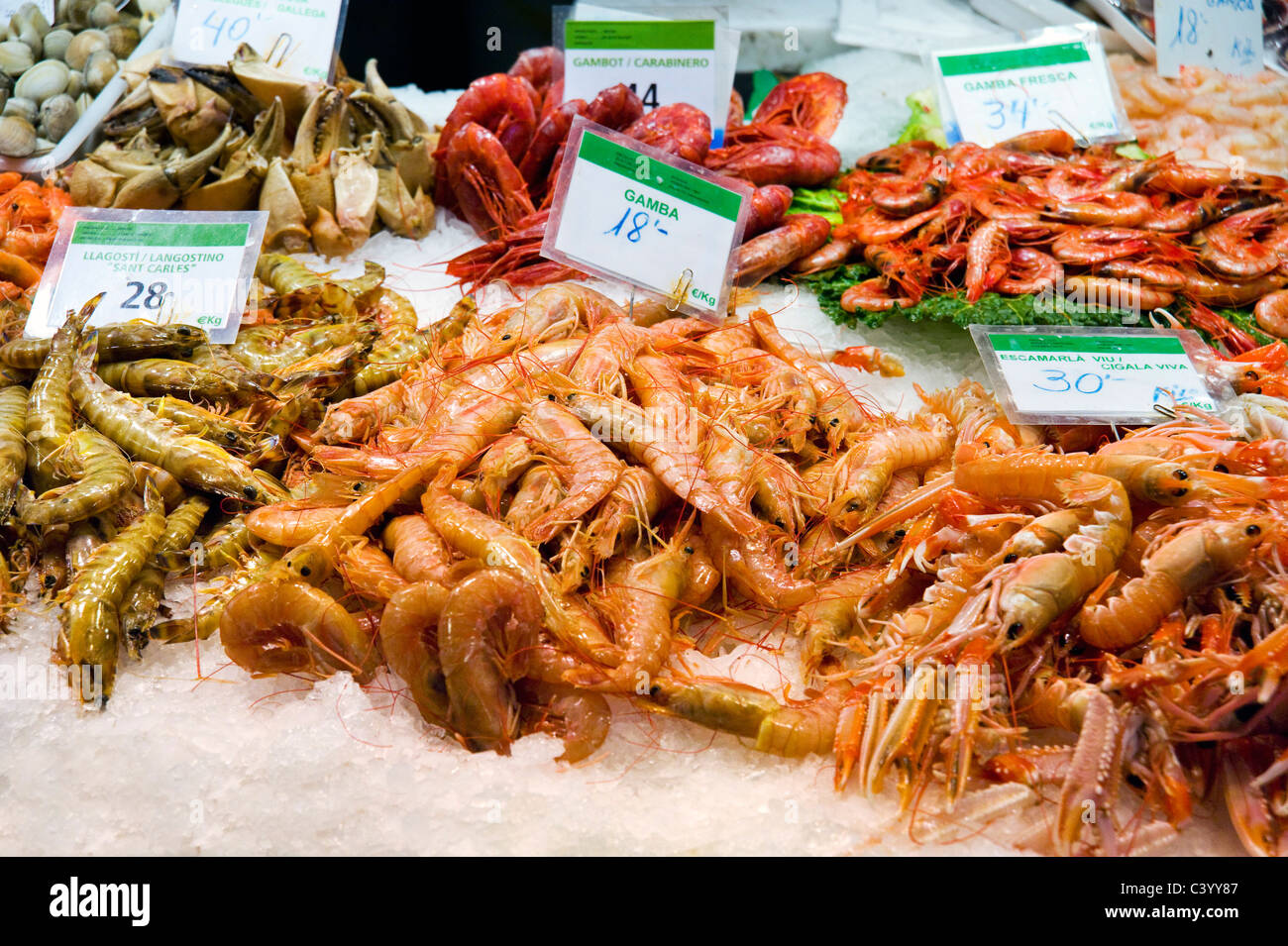 Les crevettes et autres fruits de mer frais pour la vente au marché public de La Boqueria, La Rambla (Las Ramblas), Barcelone, Catalogne, Espagne Banque D'Images