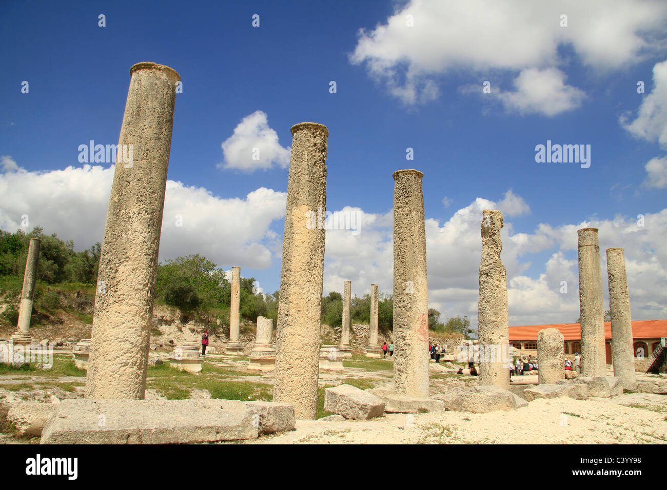 La Samarie, Sebastia, vestiges du forum de la ville romaine Sebaste Banque D'Images