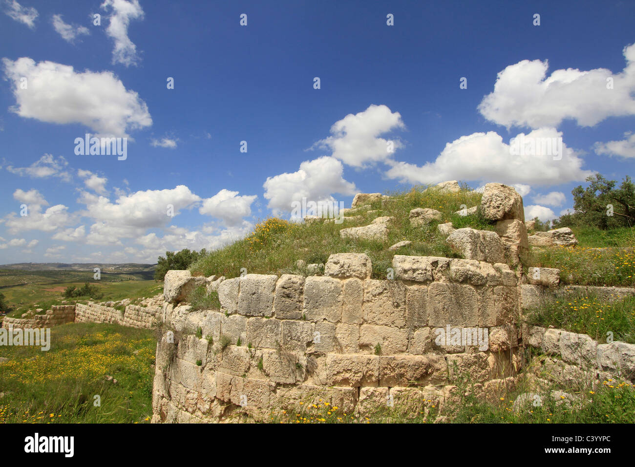 La Samarie, Sebastia, la porte Ouest de la ville romaine Sebaste, construit par le roi Hérode au 2ème siècle A.D. Banque D'Images