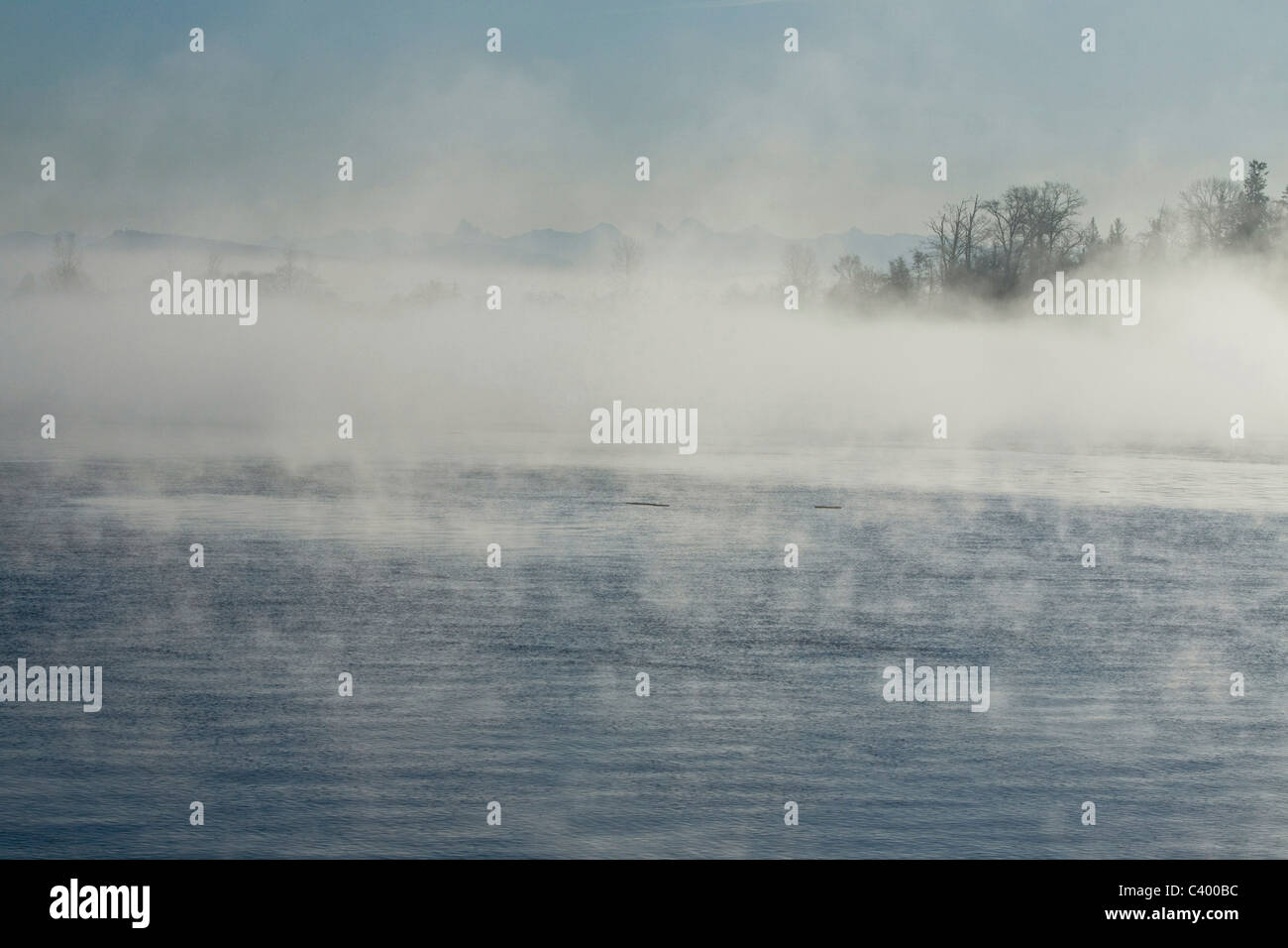 Un endroit au début de l'hiver brouillard sur le fleuve Fraser. Port Coquitlam, BC, Canada. Banque D'Images