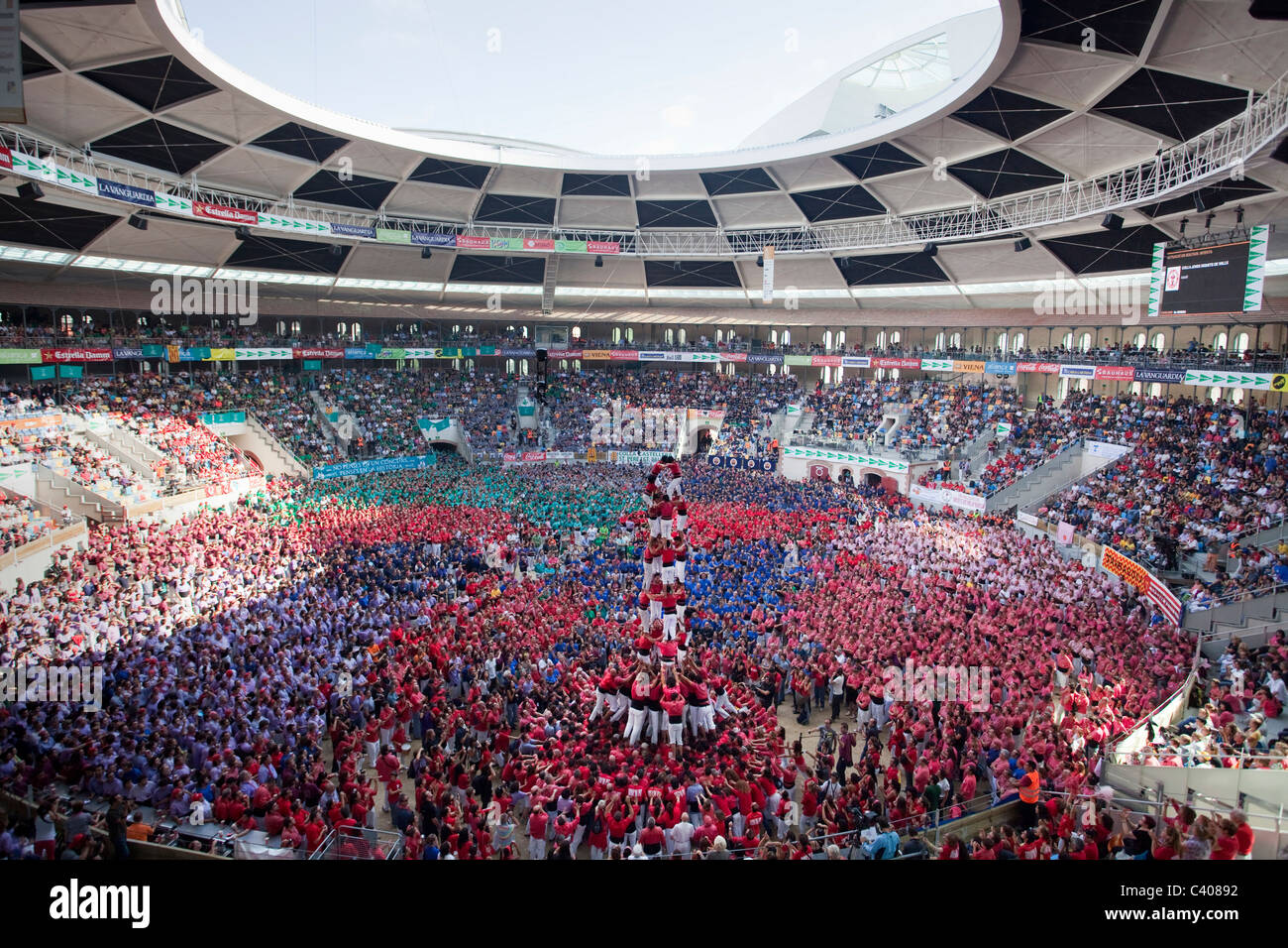 Spanien, Europa, Tarragone, Catalogne, stade, Castellers, festival, pyramide humaine, masses, Castells, tradition Banque D'Images