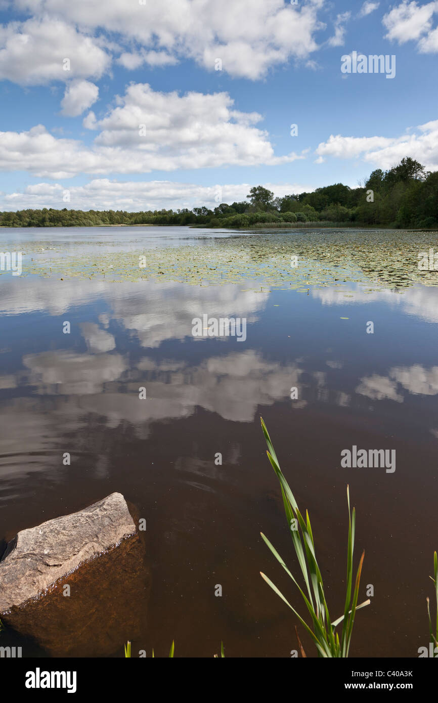 Belle partie d'un petit lac dans le sud de la Suède Banque D'Images