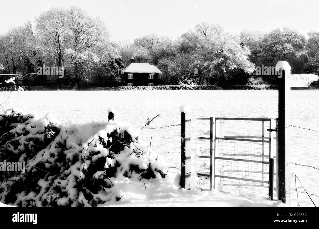 Promenade dans les bois. Maison près de Shaw Lane, Tadley, Hampshire, England, UK, Royaume-Uni Banque D'Images