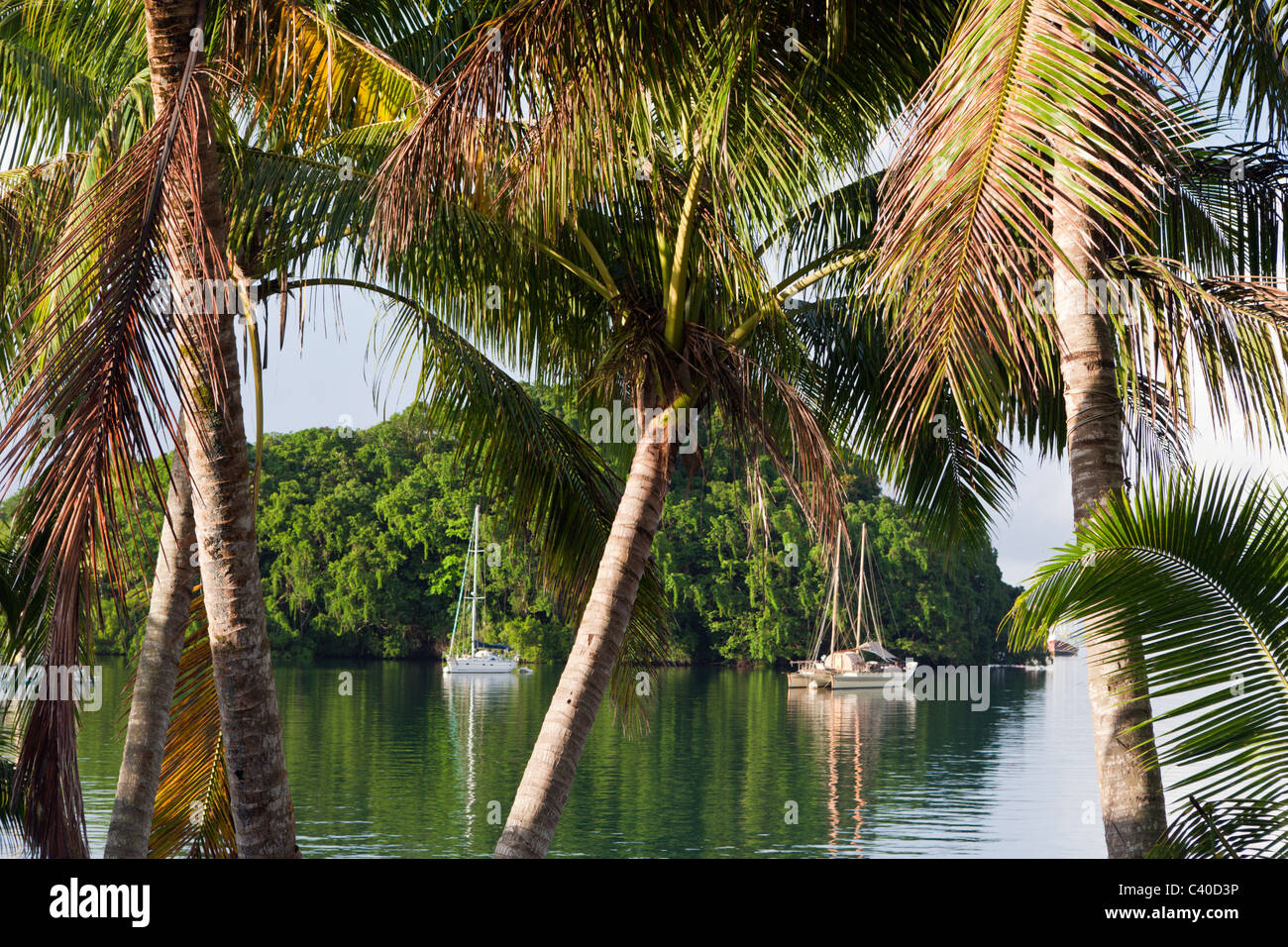 Près de l'ancre des bateaux à voile, port de l'île de Suva, Fidji, Viti Levu Banque D'Images