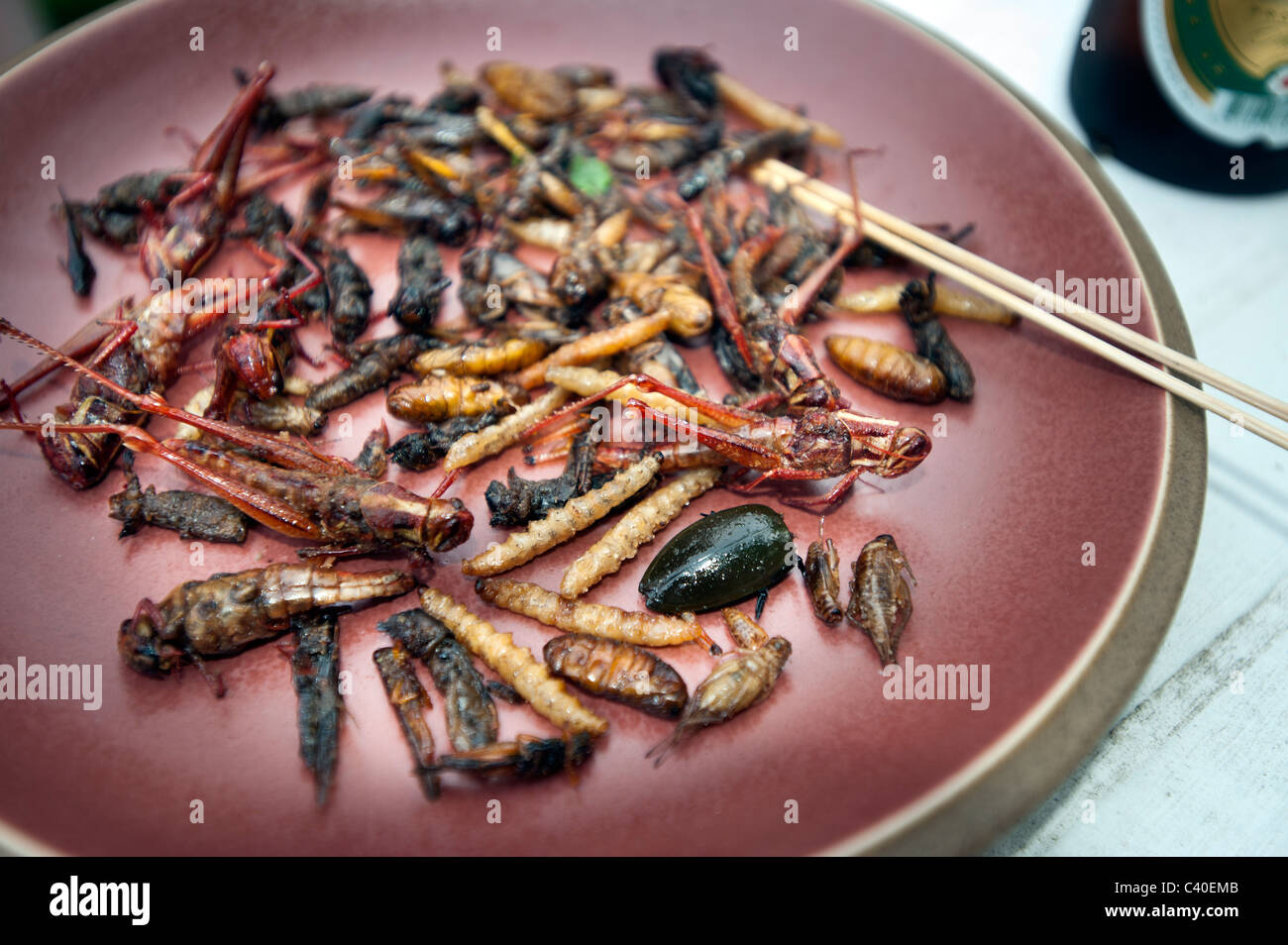 Repas d'insectes frits aliments sur la plaque Thaïlande thai thaifood snack délicieux insectes sauterelle cricket fine mouche bug ver cockroac ver Banque D'Images