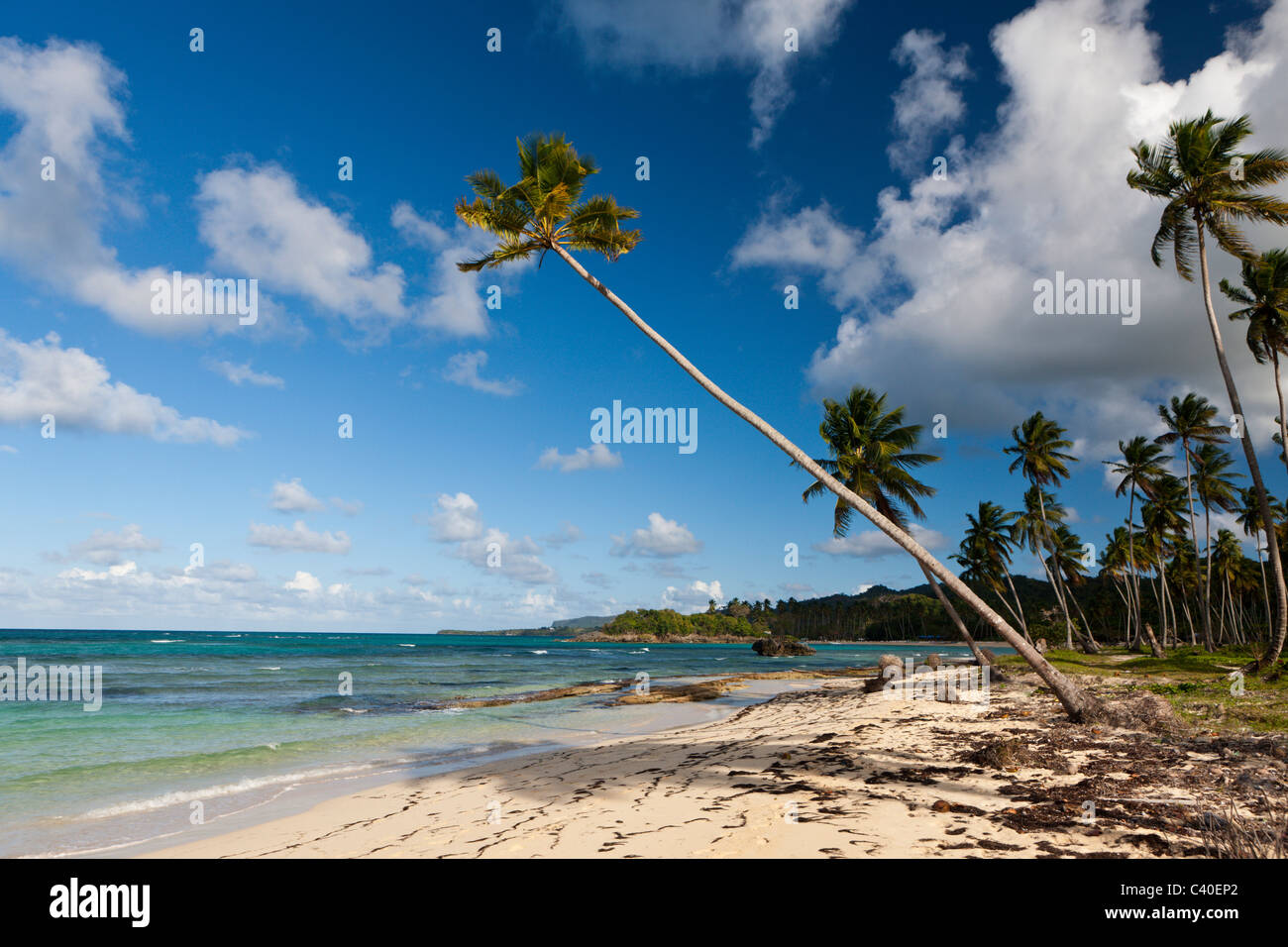 Playa Rincon Beach près de Las Galeras, Péninsule de Samana, République Dominicaine Banque D'Images