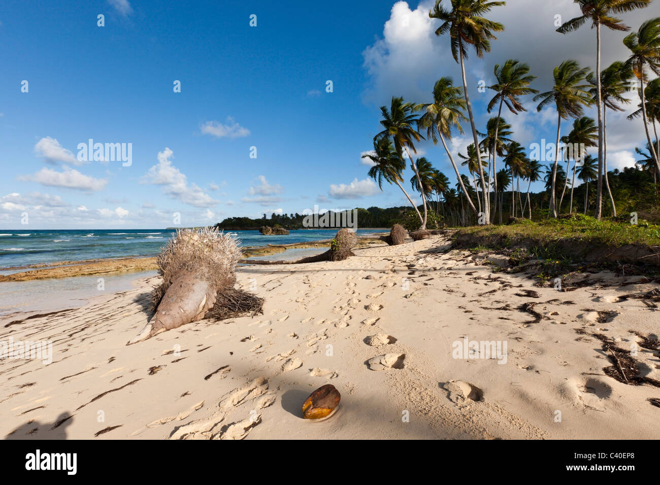 Playa Rincon Beach près de Las Galeras, Péninsule de Samana, République Dominicaine Banque D'Images