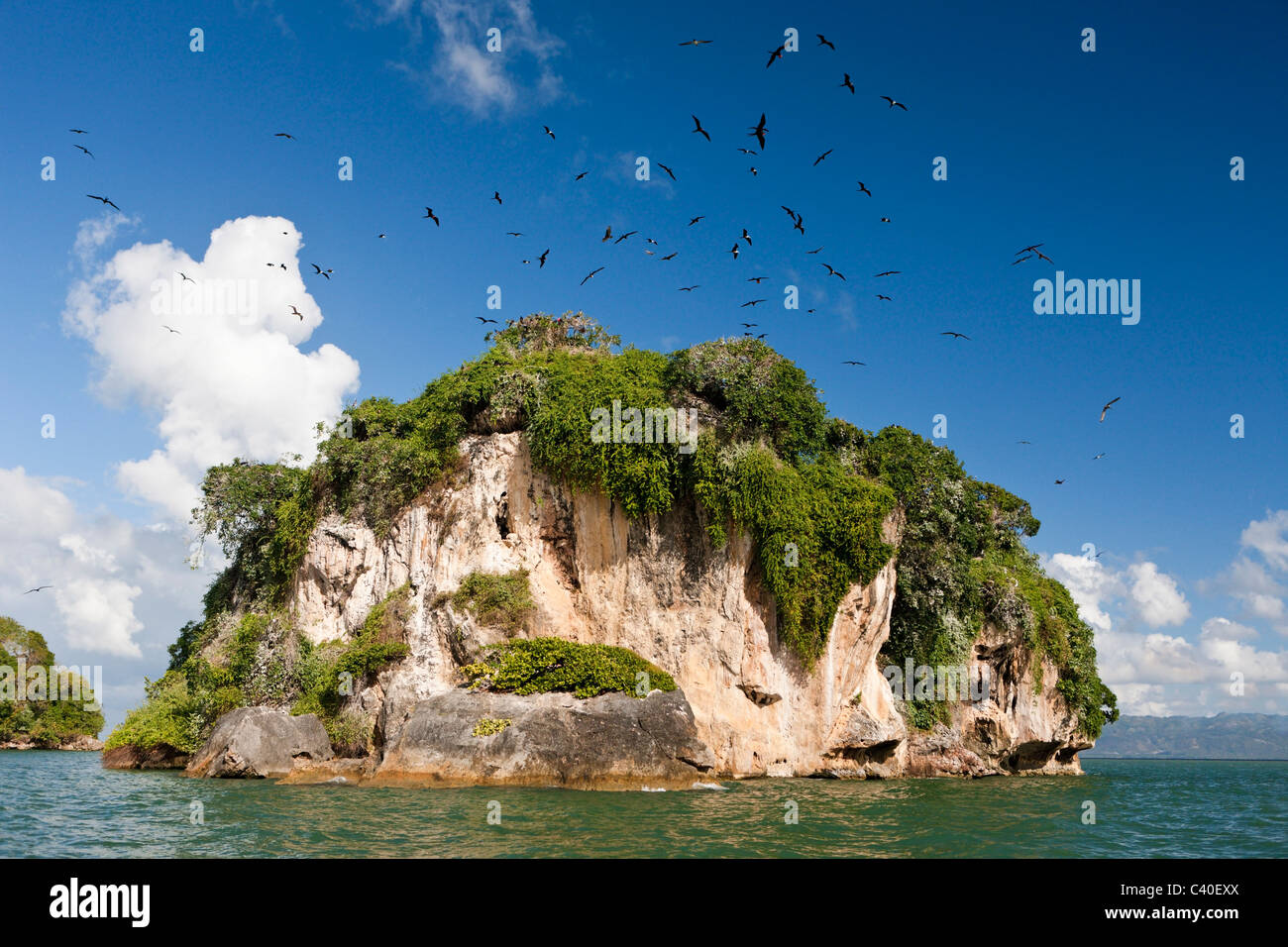 L'île aux oiseaux La Cacata, parc national Los Haitises, République Dominicaine Banque D'Images