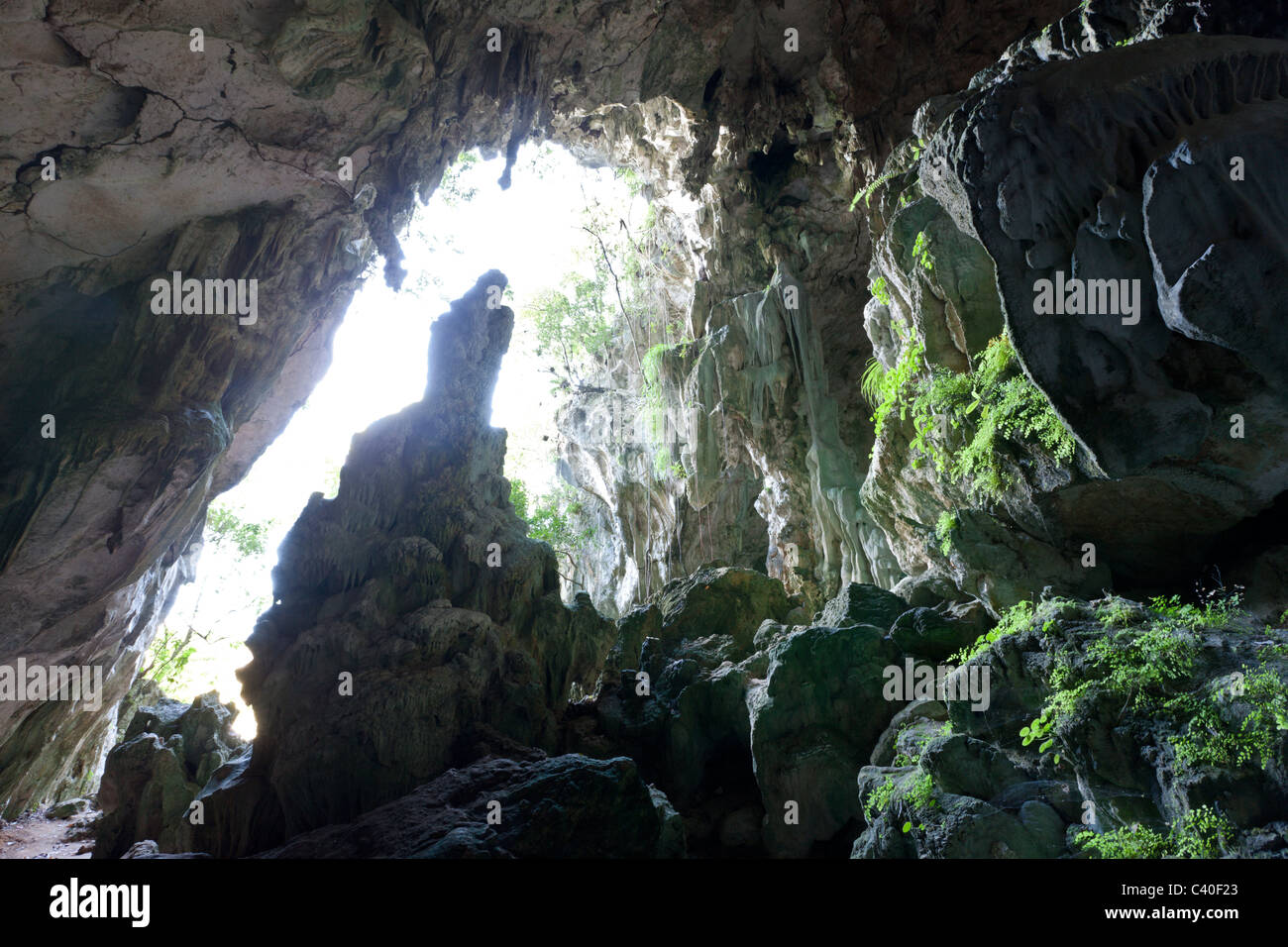 Grotte de calcaire de San Gabriel, du parc national Los Haitises, République Dominicaine Banque D'Images