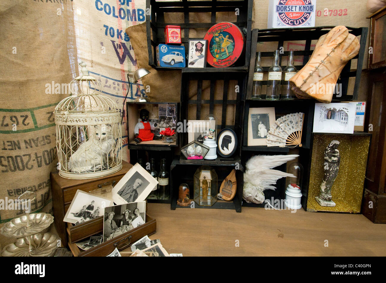 Boîte d'affichage d'installation cat curio antiques objets aléatoires poupée noire cage Banque D'Images