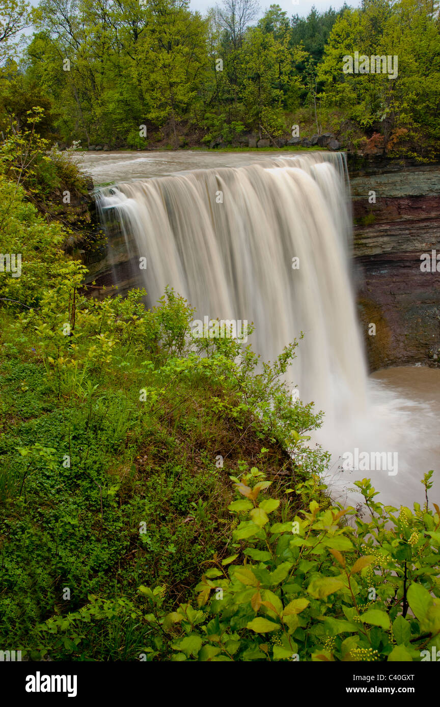 La cascade de Balls Falls, Ontario, Canada. Banque D'Images