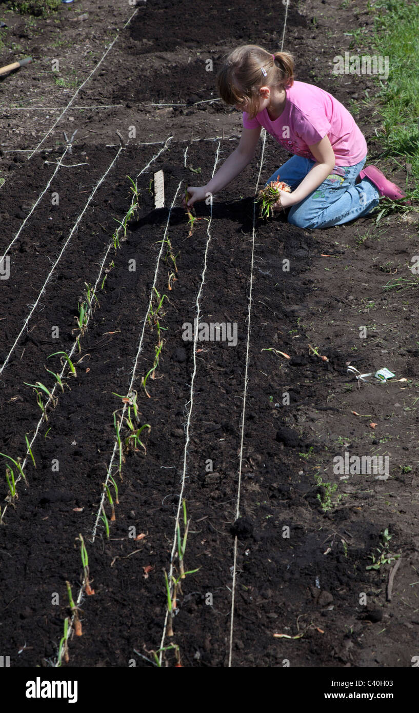 Girl Scouts aident à cultiver le jardin des plantes pour produire des banques alimentaires communautaires Banque D'Images