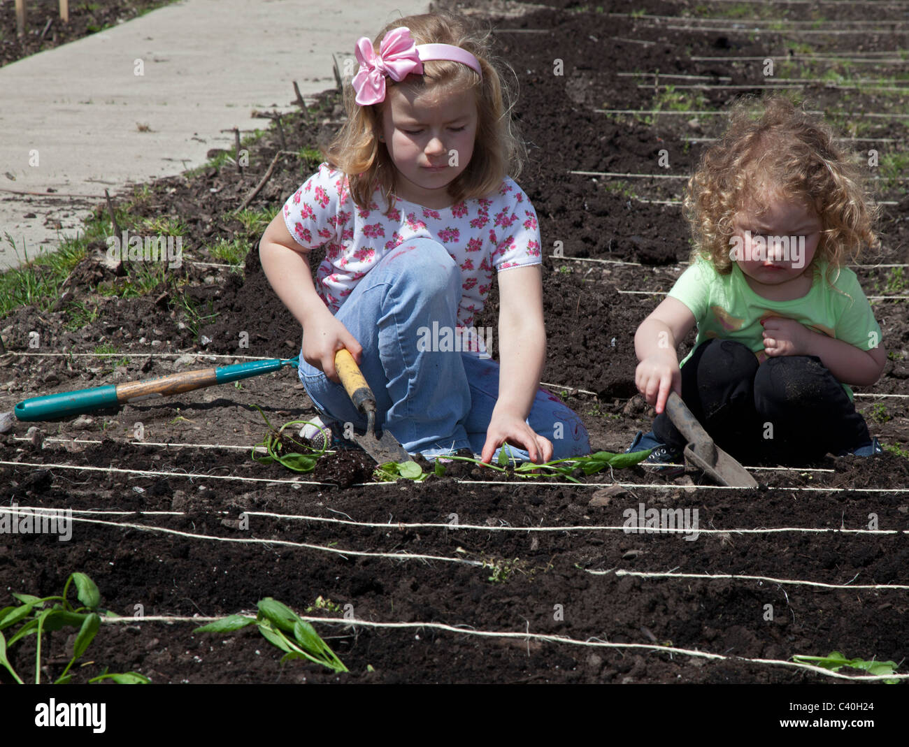 Girl Scouts aident à cultiver le jardin des plantes pour produire des banques alimentaires communautaires Banque D'Images