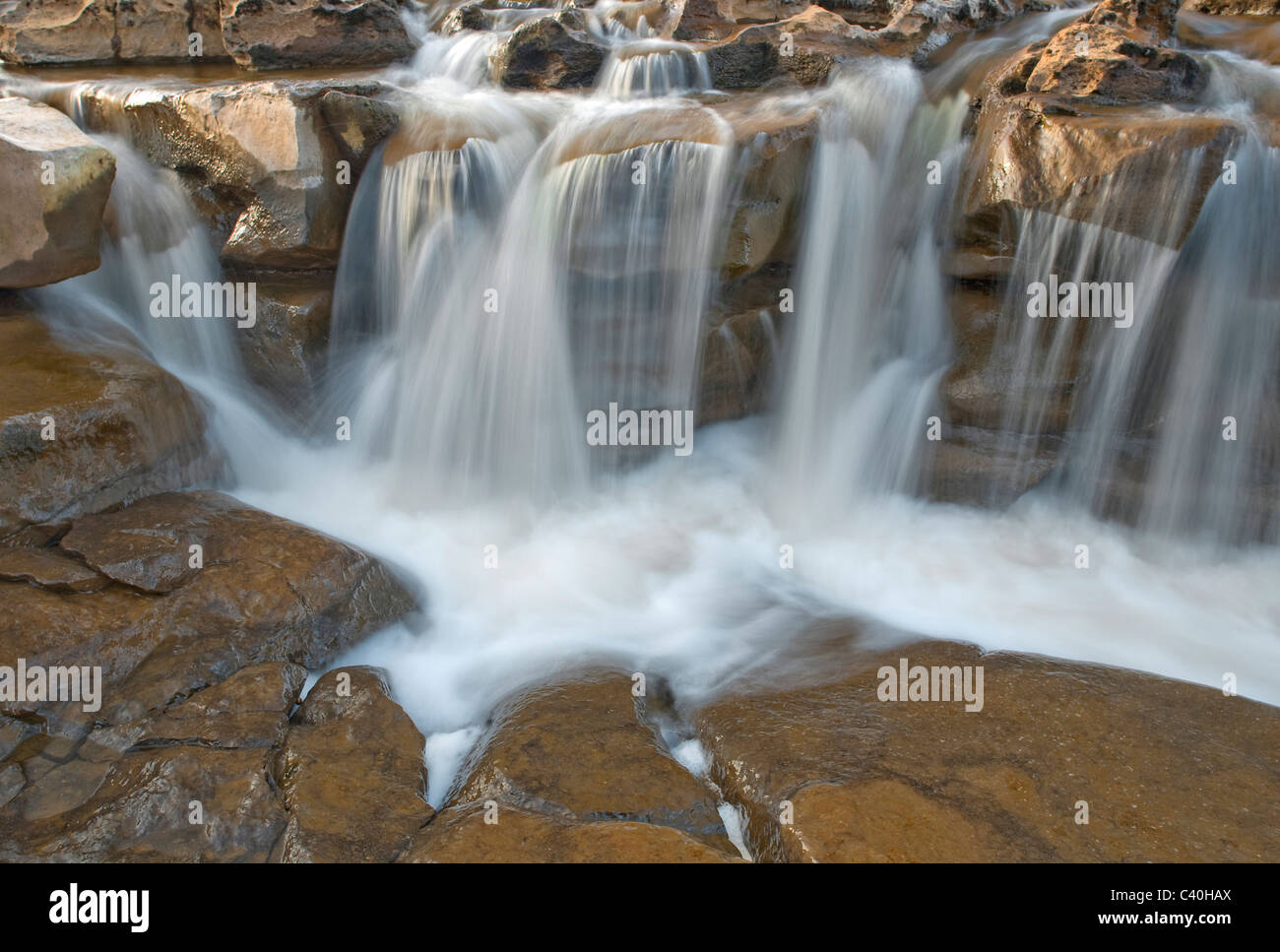 Détail d'une partie de la tombe à Wainwath cascades près de la région de Keld Swaledale, Yorkshire du Nord. Banque D'Images