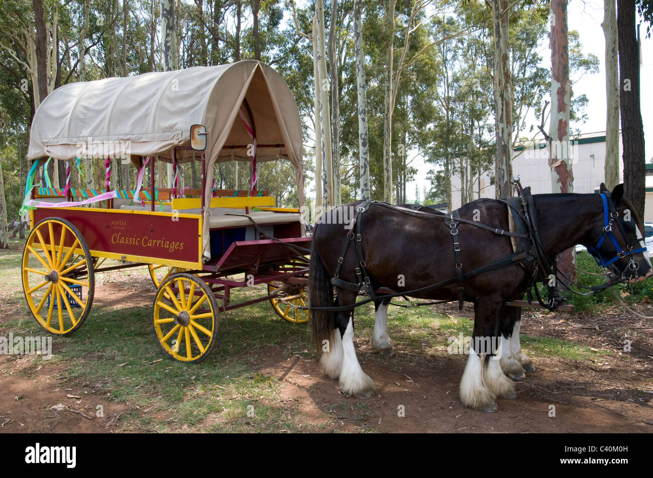 Estate Winery et New South Wales Australie Hunter Valley Australie Hunter Valley wine vineyard de chariot tiré par des chevaux panier couverts Banque D'Images