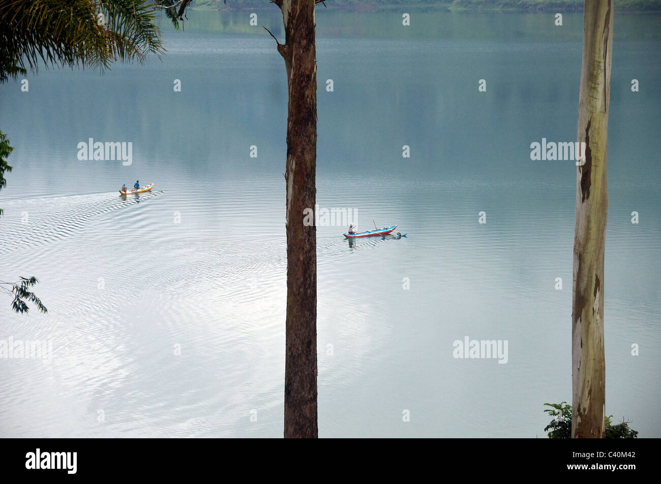 Deux barques Castlereigh Lake Central Highlands Sri Lanka Banque D'Images