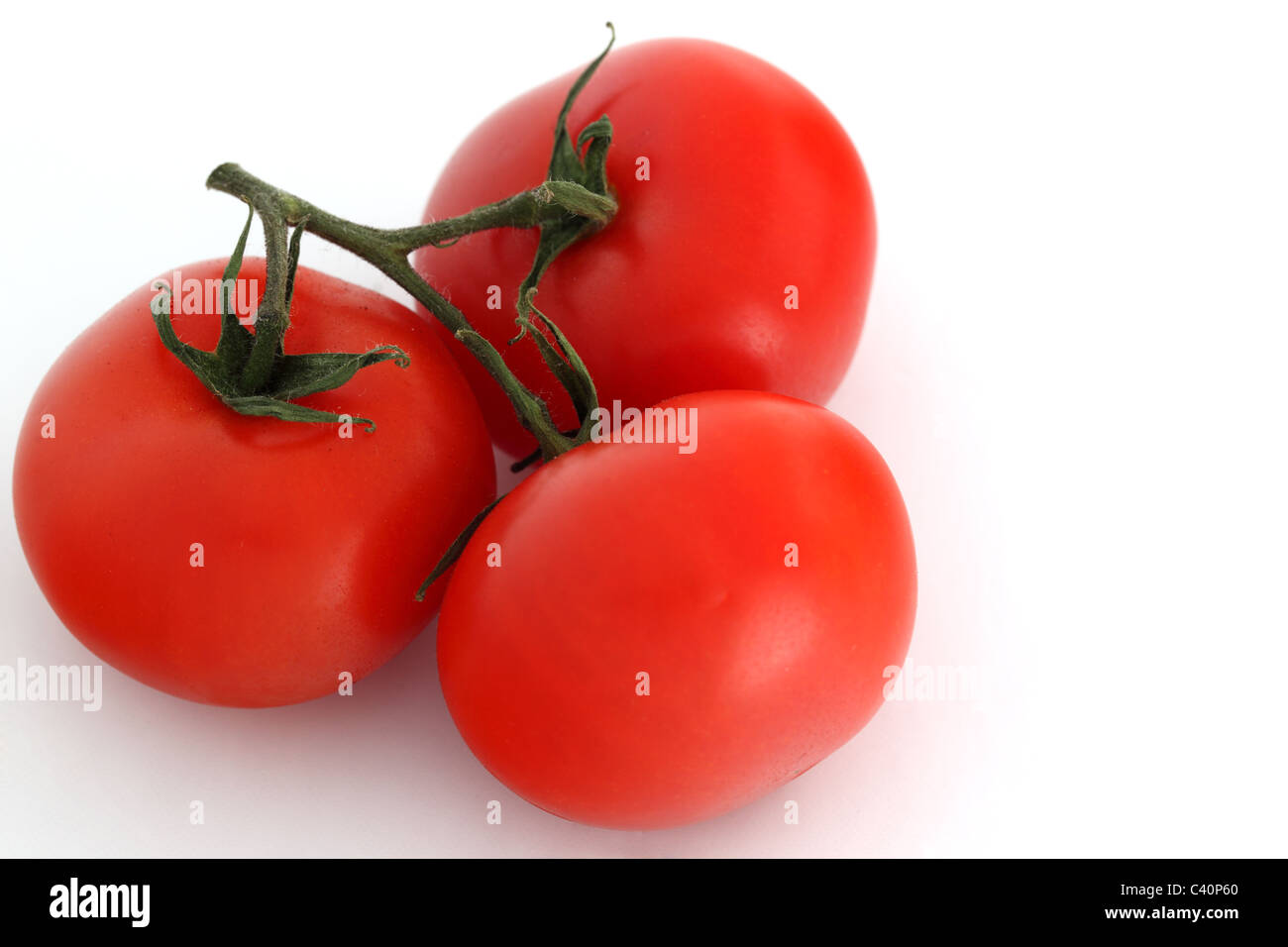 Close up of 3 tomates rouges sur une vigne sur un fond blanc. Banque D'Images