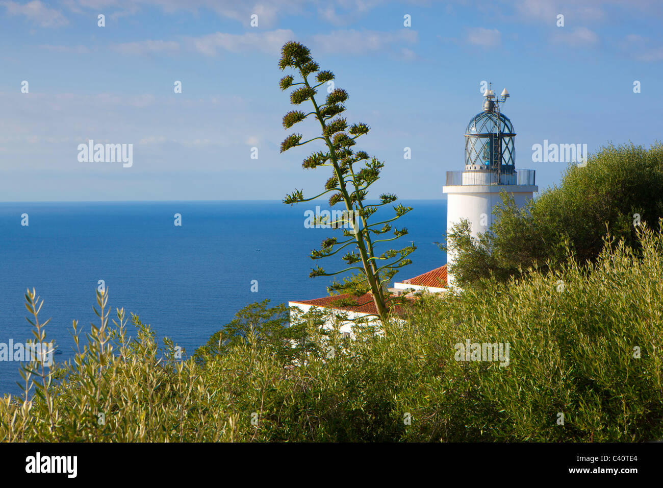 Cap de San Sebastia, Espagne, Europe, Catalogne, Costa Brava, mer, Mer Méditerranée, Côte, Lighthouse, agaves Banque D'Images