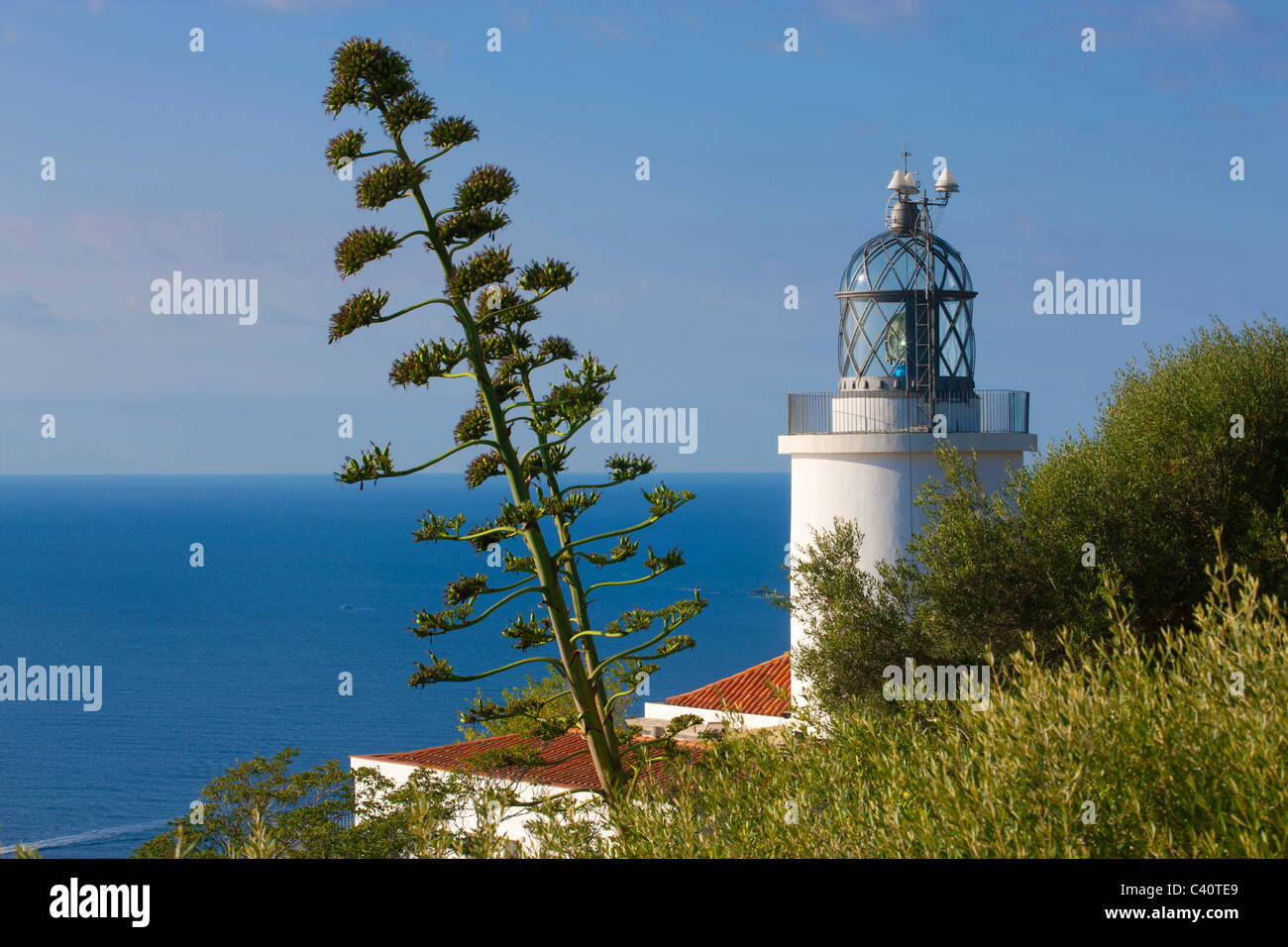 Cap de San Sebastia, Espagne, Europe, Catalogne, Costa Brava, mer, Mer Méditerranée, Côte, Lighthouse, agaves Banque D'Images