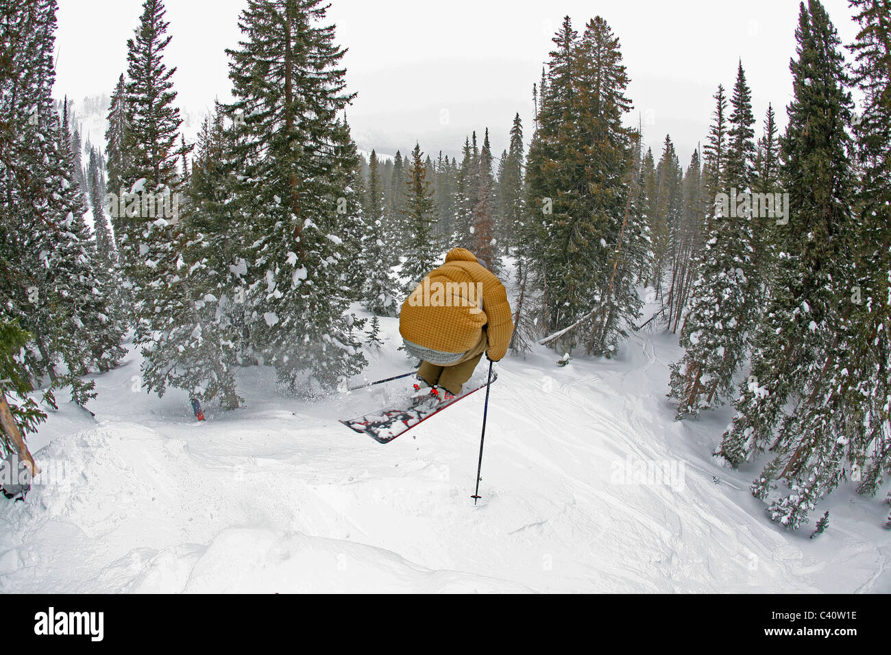 Le skieur bénéficie d'de poudreuse dans Brighton Ski à Salt Lake City, Utah Banque D'Images