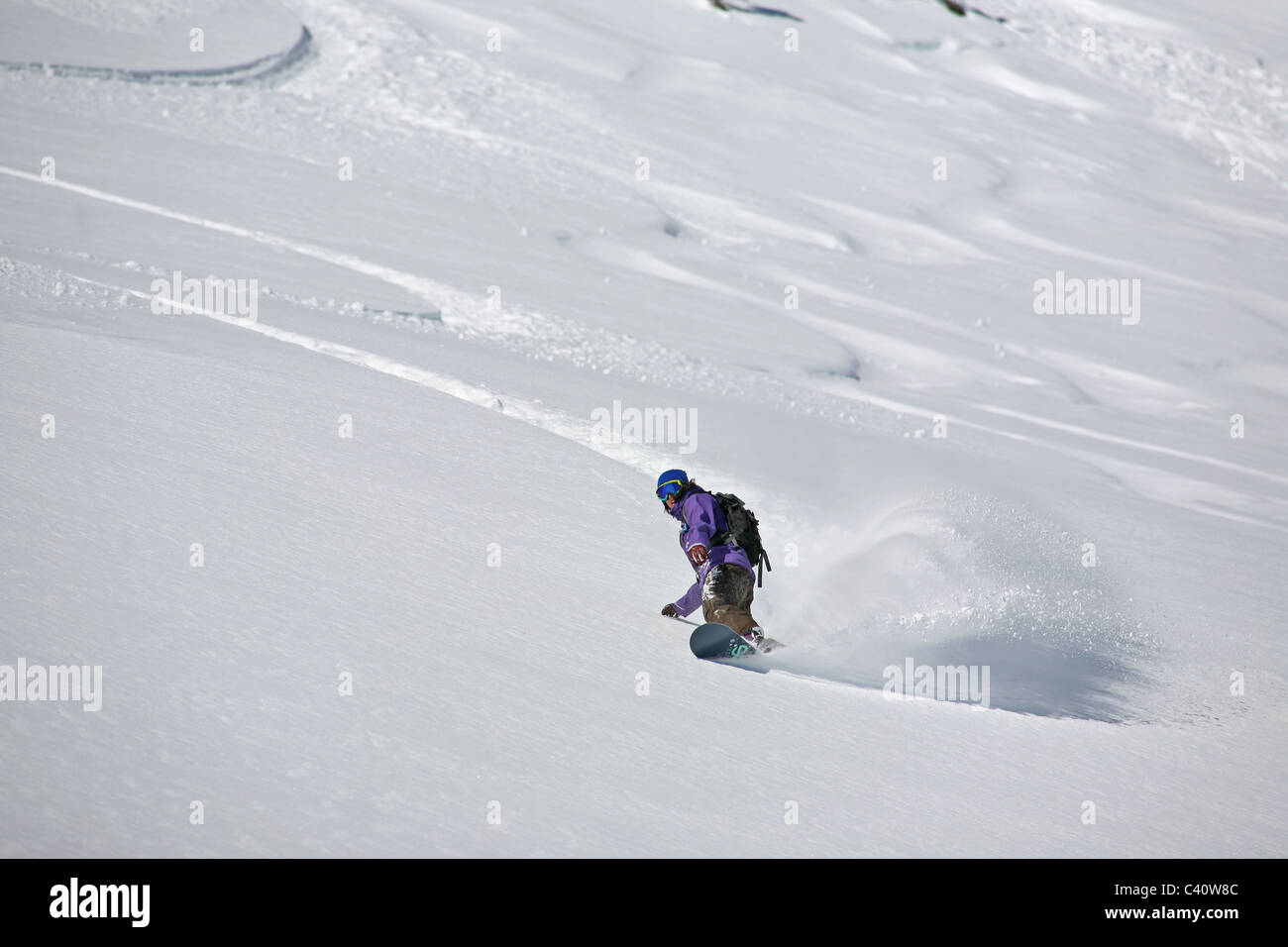 Snowboarder féminin frais, bénéficie d'une profonde powder off piste de ski de Brighton à Salt Lake City, Utah Banque D'Images