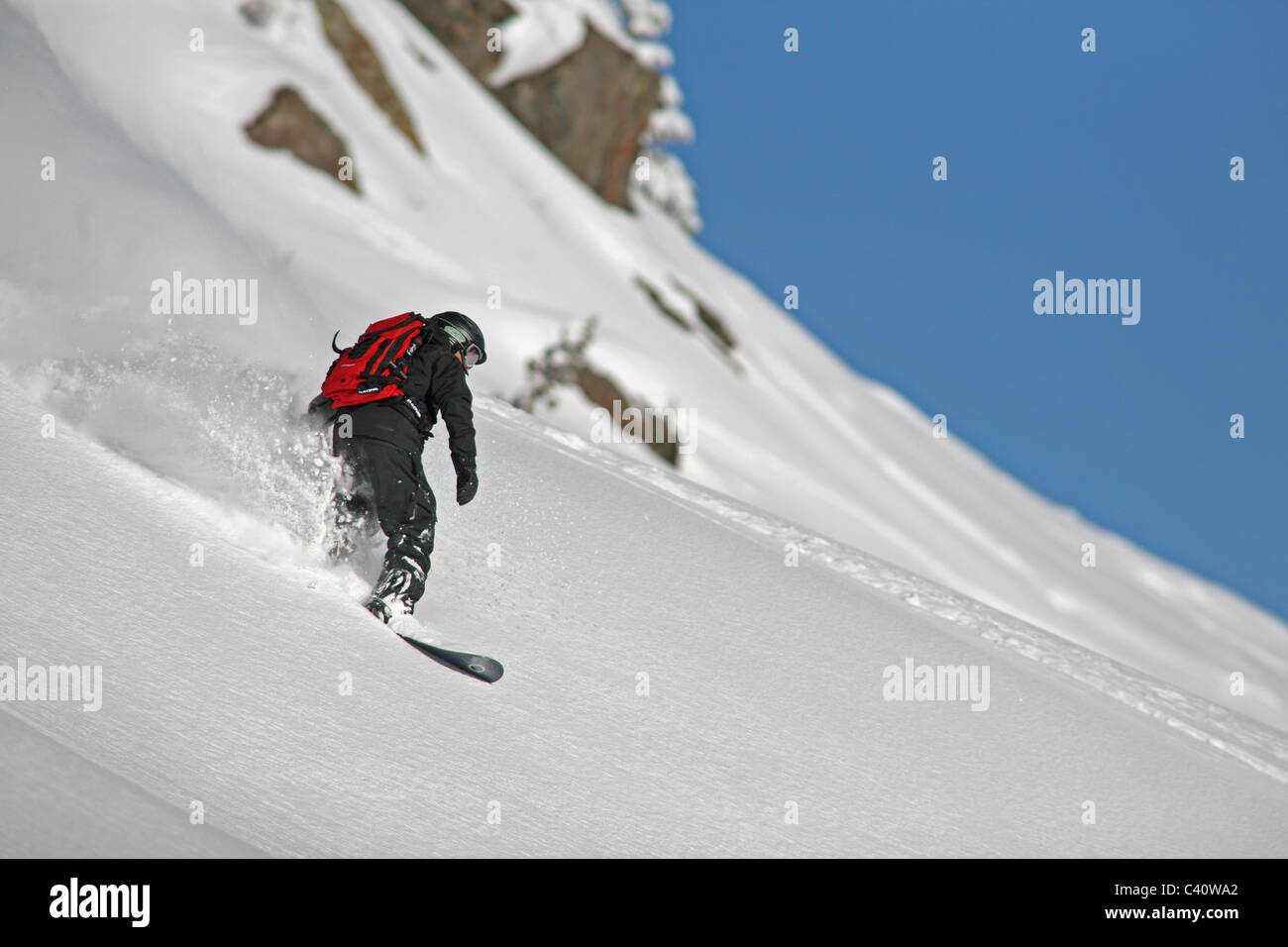 Snowboarder jouit de poudreuse fraîche, en hors piste de ski de Brighton à Salt Lake City, Utah. Banque D'Images