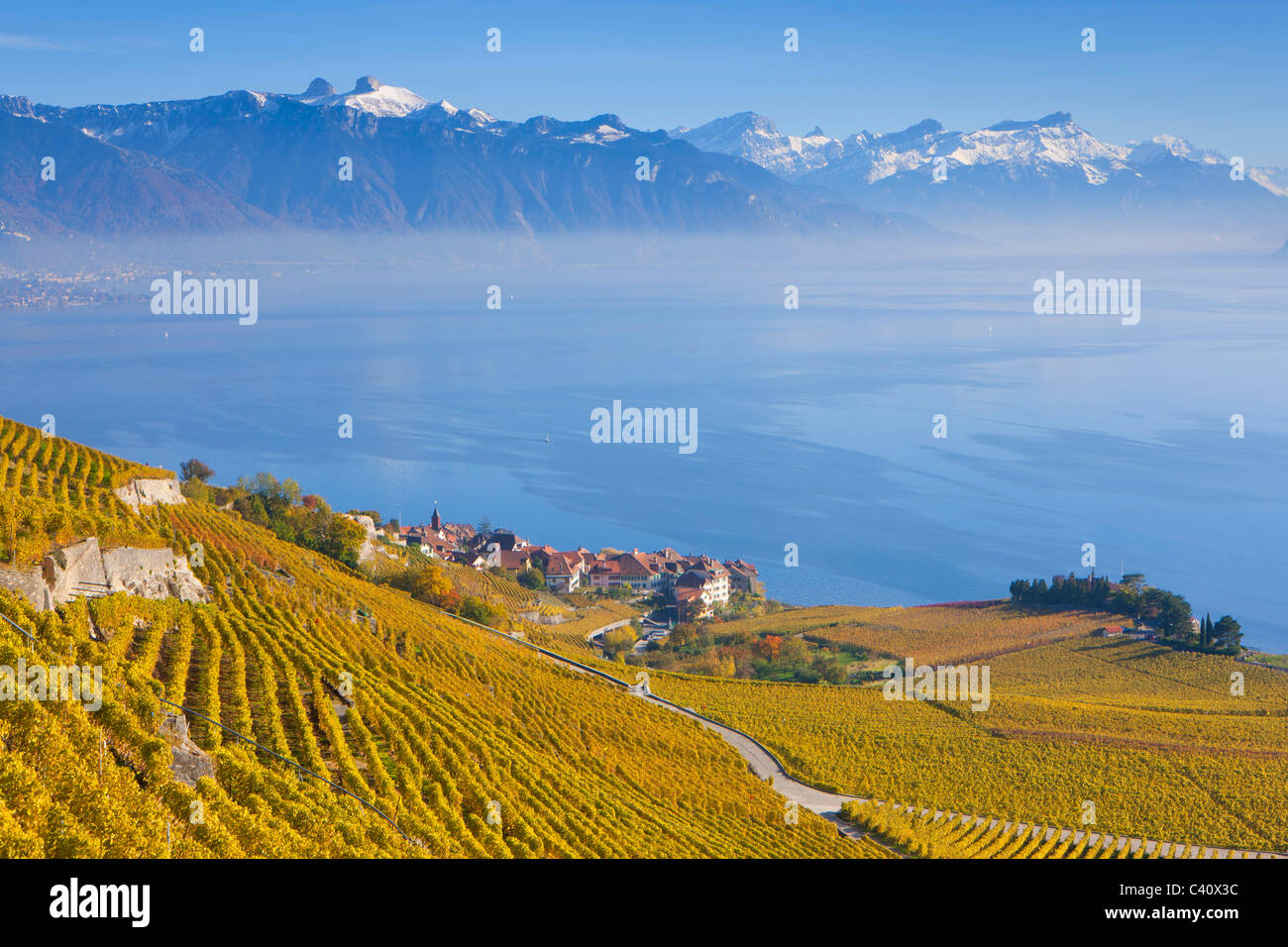 Rivaz, Suisse, Europe, canton de Vaud, Lavaux, vignoble, patrimoine mondial de l'UNESCO, le lac, le lac de Genève, les vignobles, le village Banque D'Images