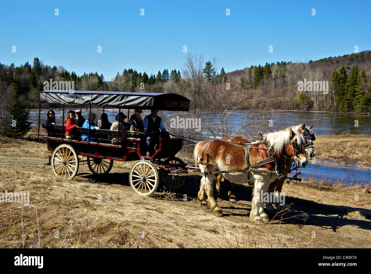 Transport tiré par deux chevaux percherons Le Baluchon outdoor resort riviere du loup Banque D'Images