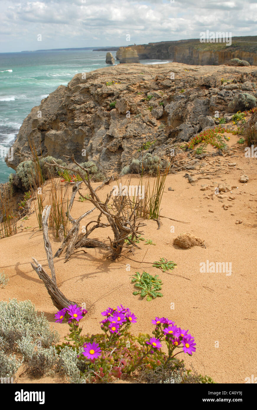 La section du Grand Océan à pied avec Gibson Beach à l'ouest de l'avant dans le Port Campbell National Park, Great Ocean Road, Victoria, Banque D'Images