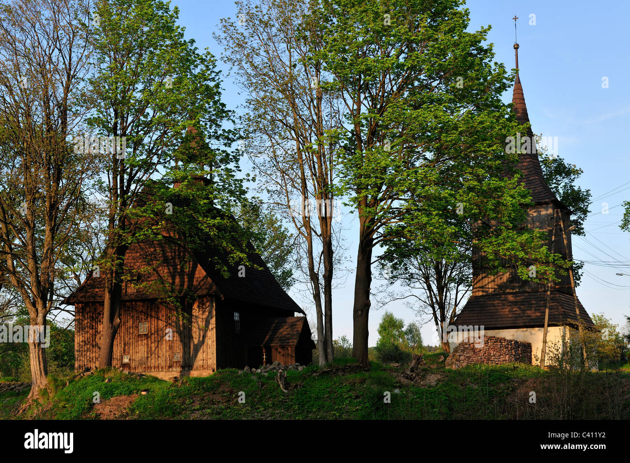 Bois, église roman.catholic, Rybnica Lesna, pologne, SW.Jadwiga, silésie, photo Kazimierz Jurewicz Banque D'Images