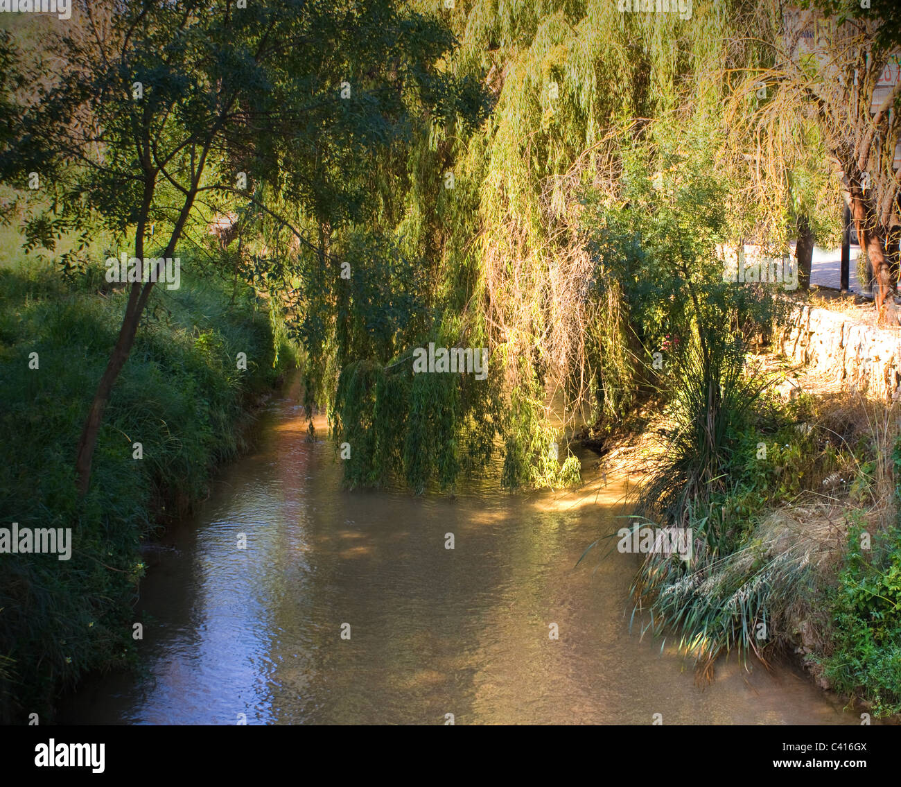 Les eaux claires DU RIO FRIO leur chemin sinueux PASSÉ EN AVAL DE BEAUX ARBRES RIOFRIO Andalousie Espagne Banque D'Images