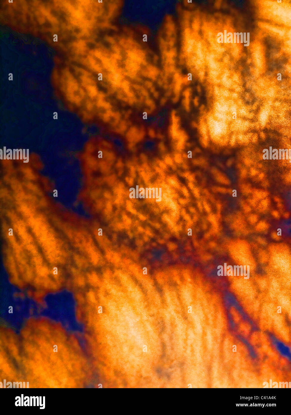 Abstract Shadows Banque D'Images