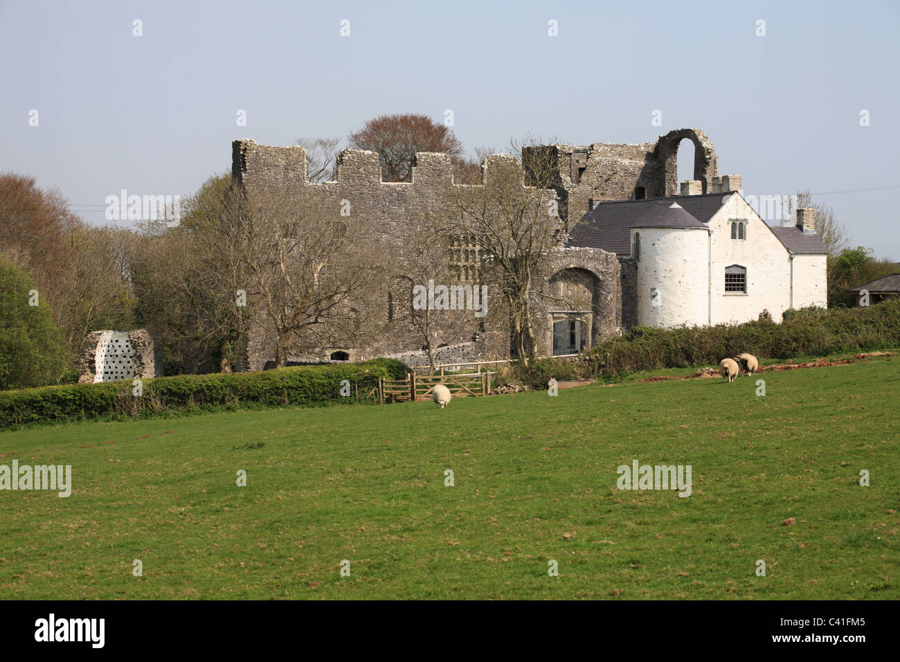 Château d'Oxwich, un manoir Tudor, la péninsule de Gower, dans le sud du Pays de Galles, Royaume-Uni Banque D'Images