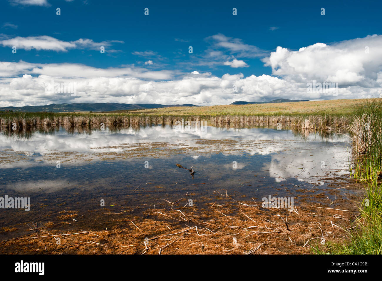 Ces petits étangs dans la vallée de l'ouest du Montana Blackfoot fournit des habitats de terres humides pour la sauvagine et les autres espèces sauvages. Banque D'Images