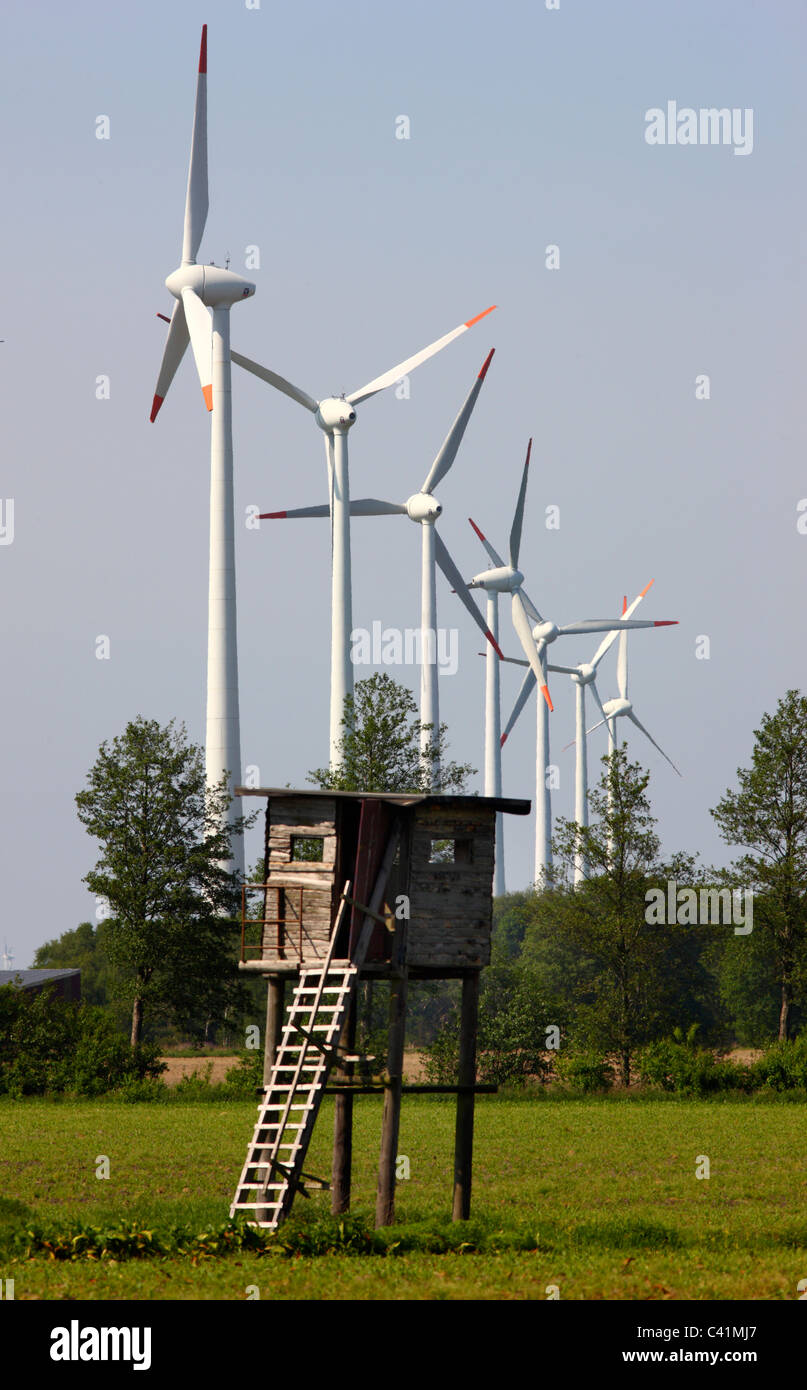 Parc de l'énergie éolienne, deer statif, Rhede, Allemagne. Banque D'Images